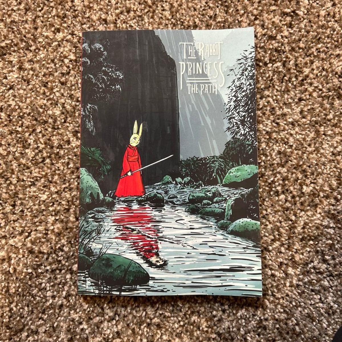 The Rabbit Princess The Path by R Chen, | PangoBooks
