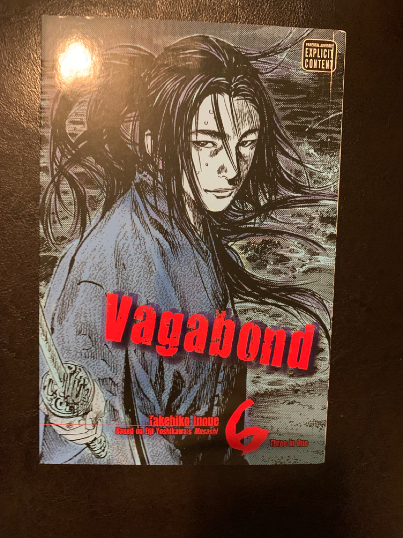 Vagabond, Vol. 25 by Takehiko Inoue