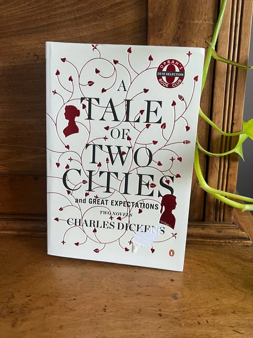 A Tale of Two Cities and Great Expectations
