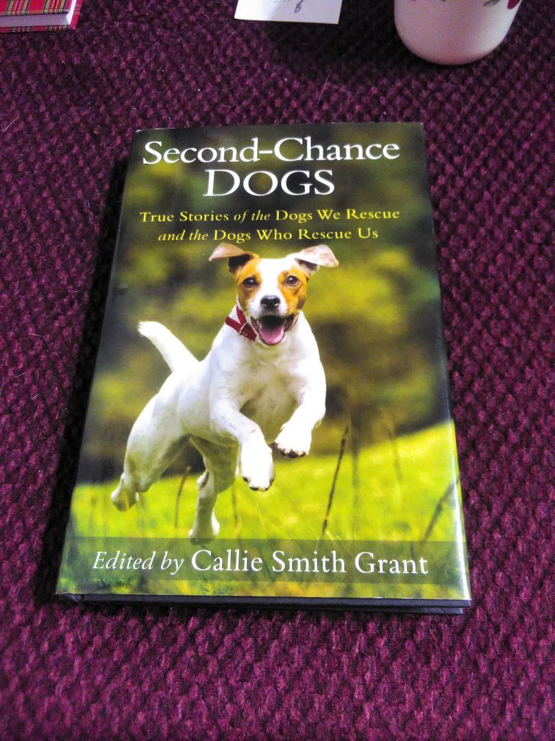 Second-Chance Dogs