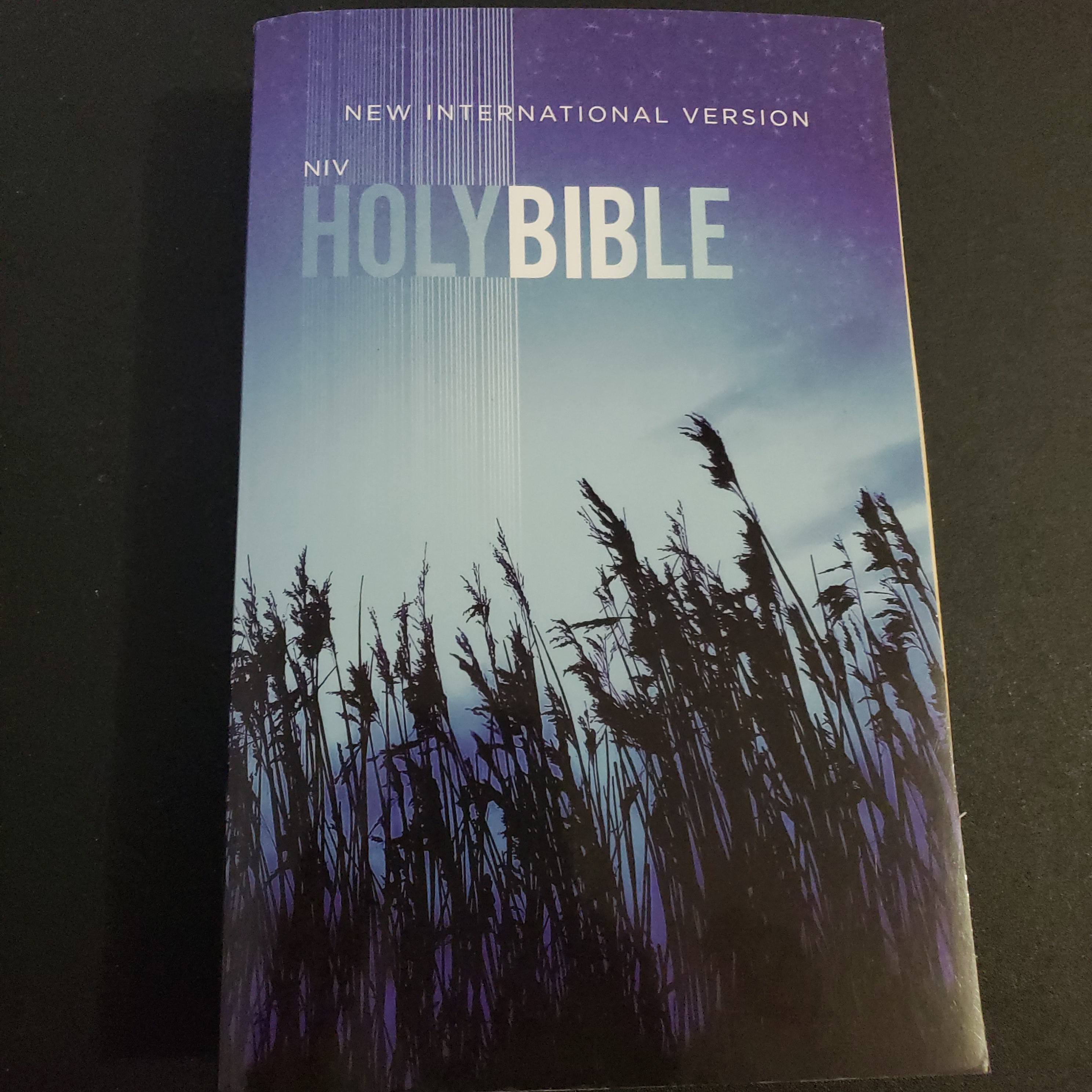 NIV Reference Bible