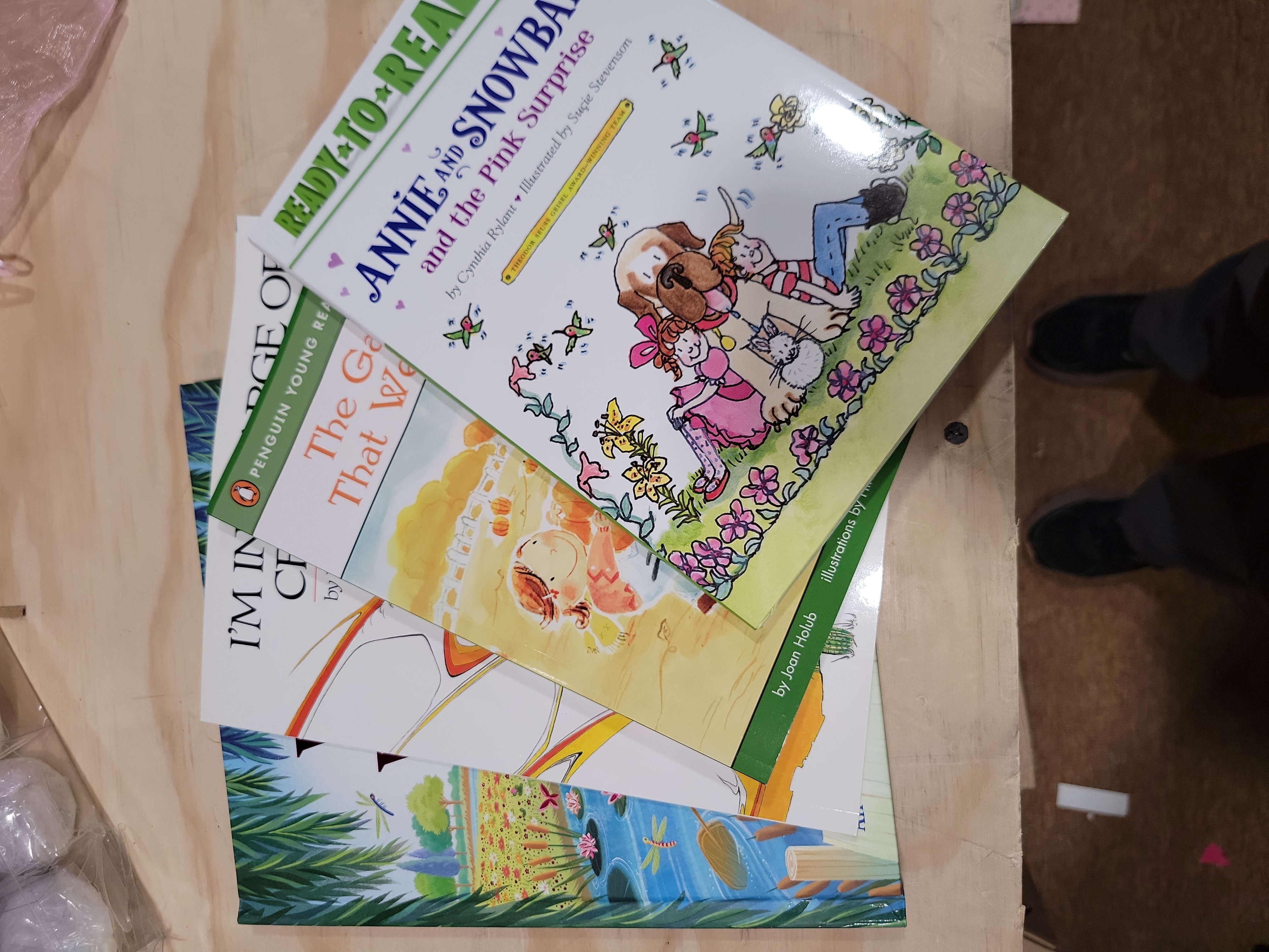 Picture book bundle