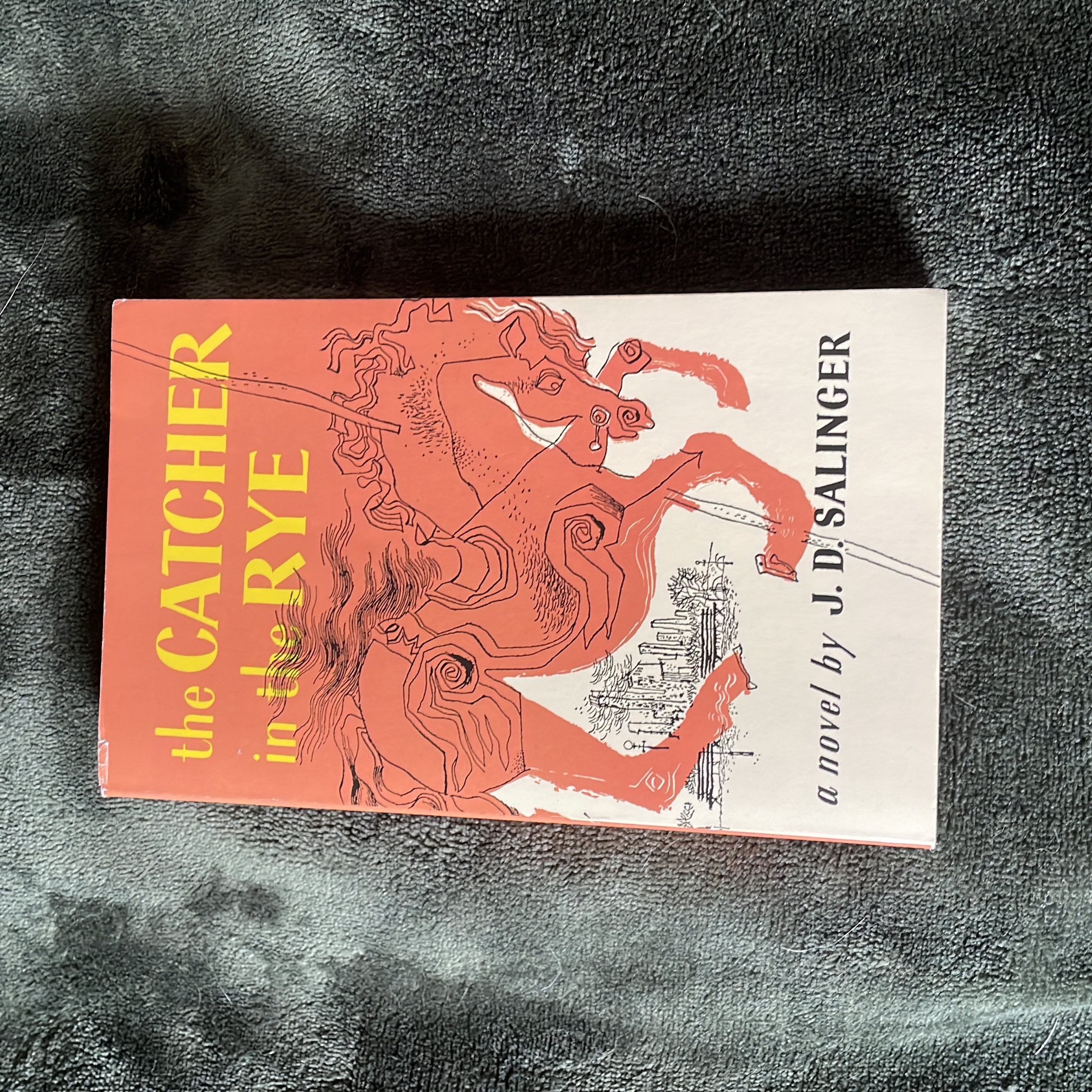 The Catcher in the Rye