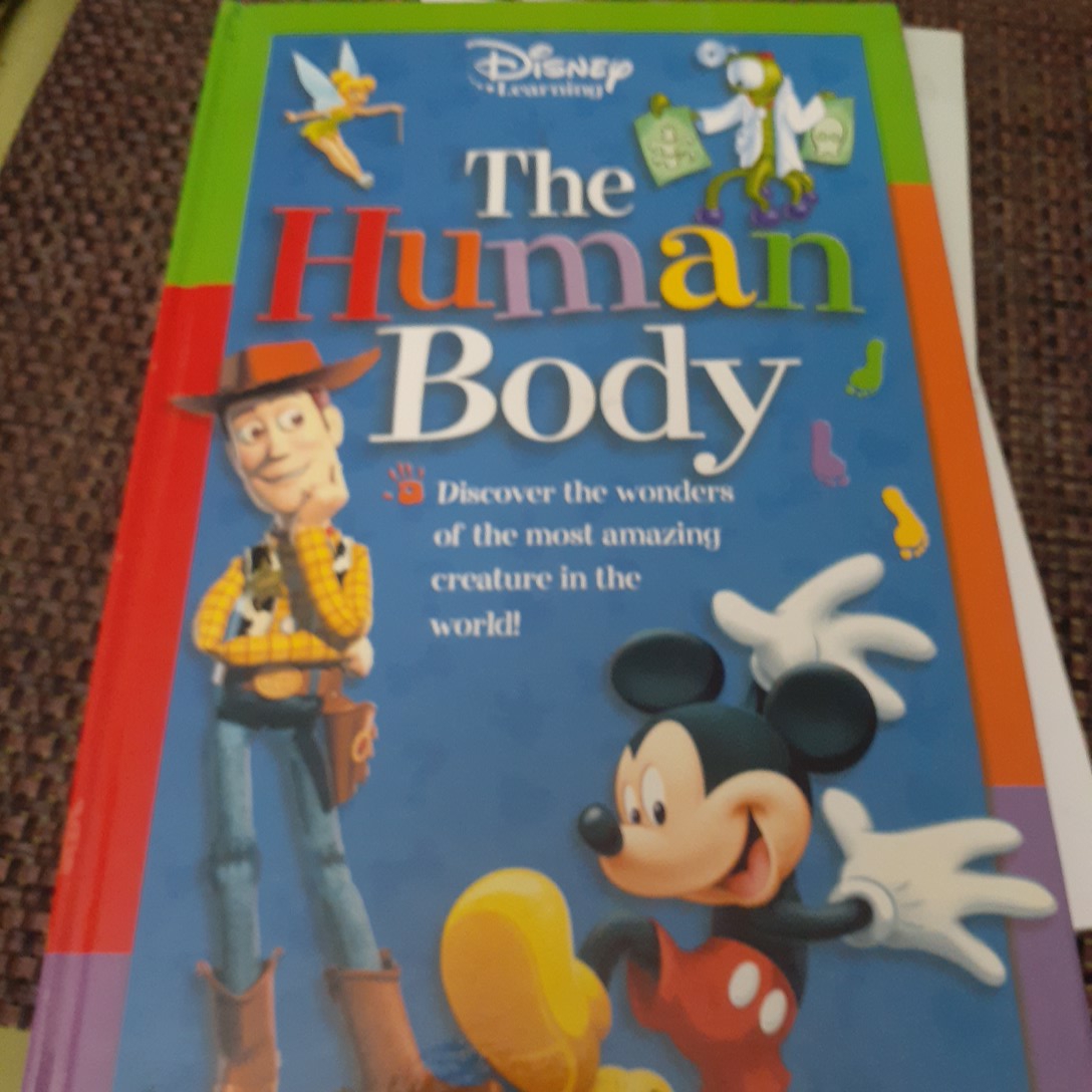 The Human Body