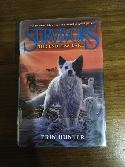 Survivors #5: the Endless Lake