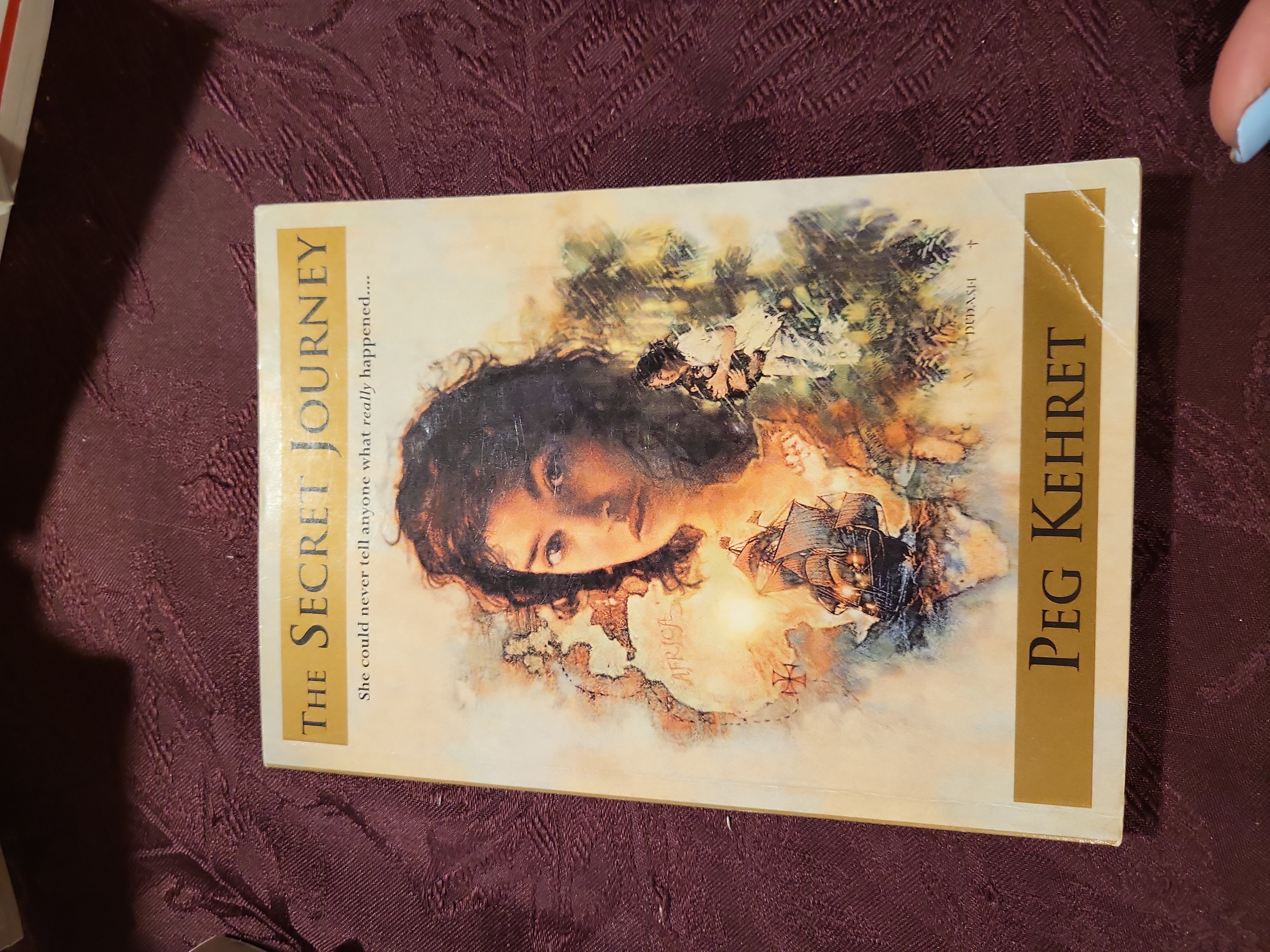 The Secret Journey