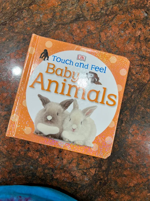 Touch and Feel Baby Animals