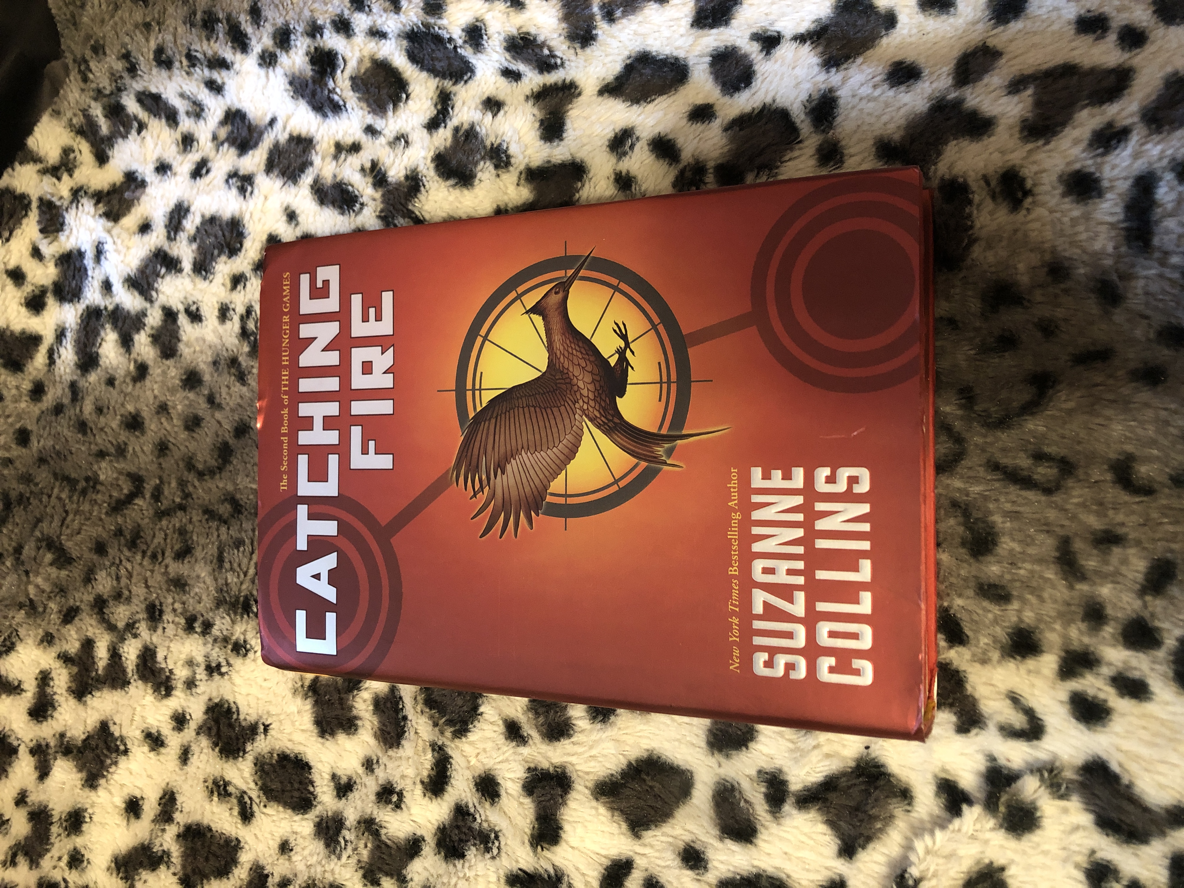 Catching Fire