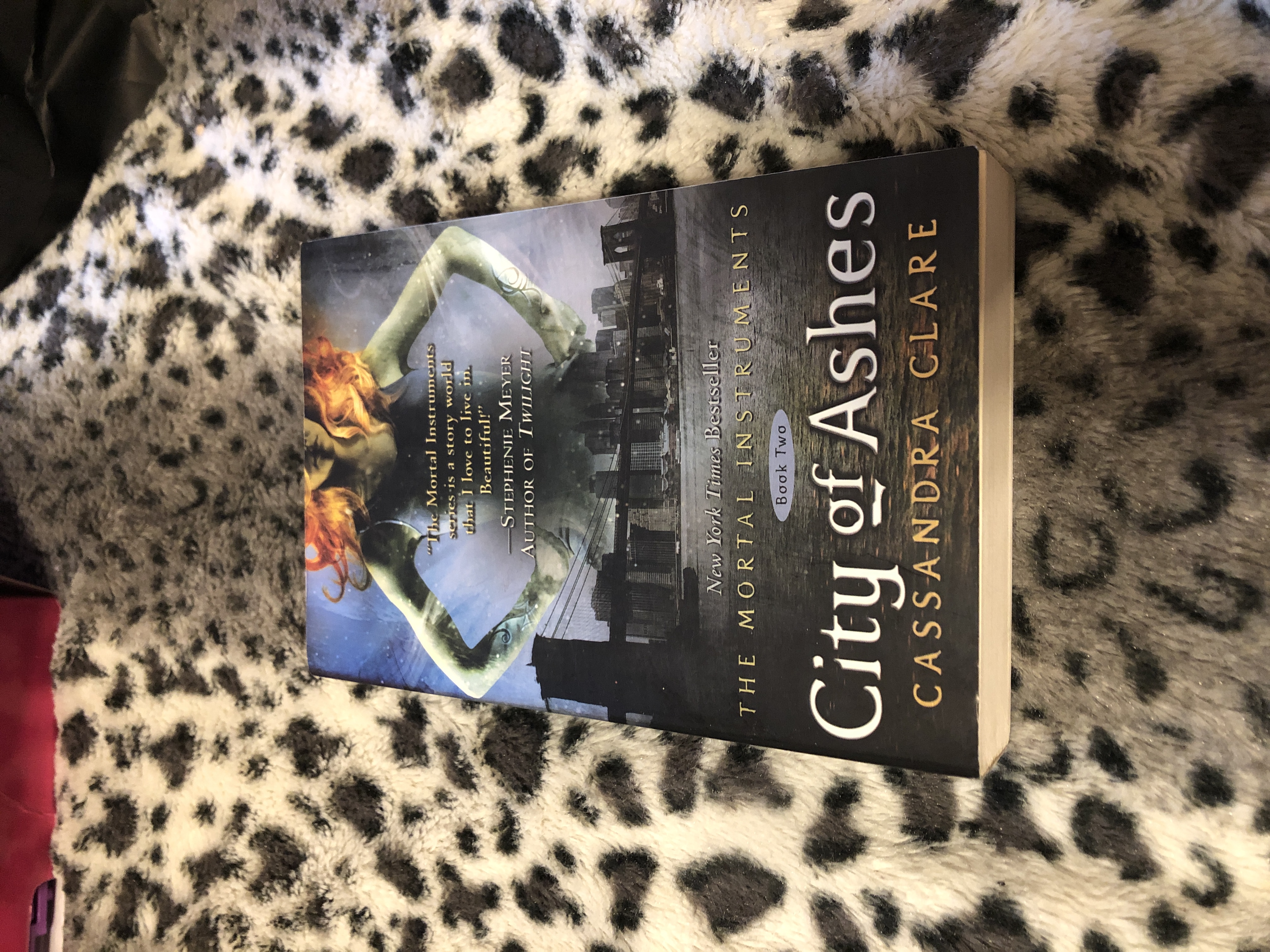 City of Ashes