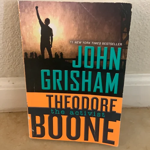 Theodore Boone: the Activist