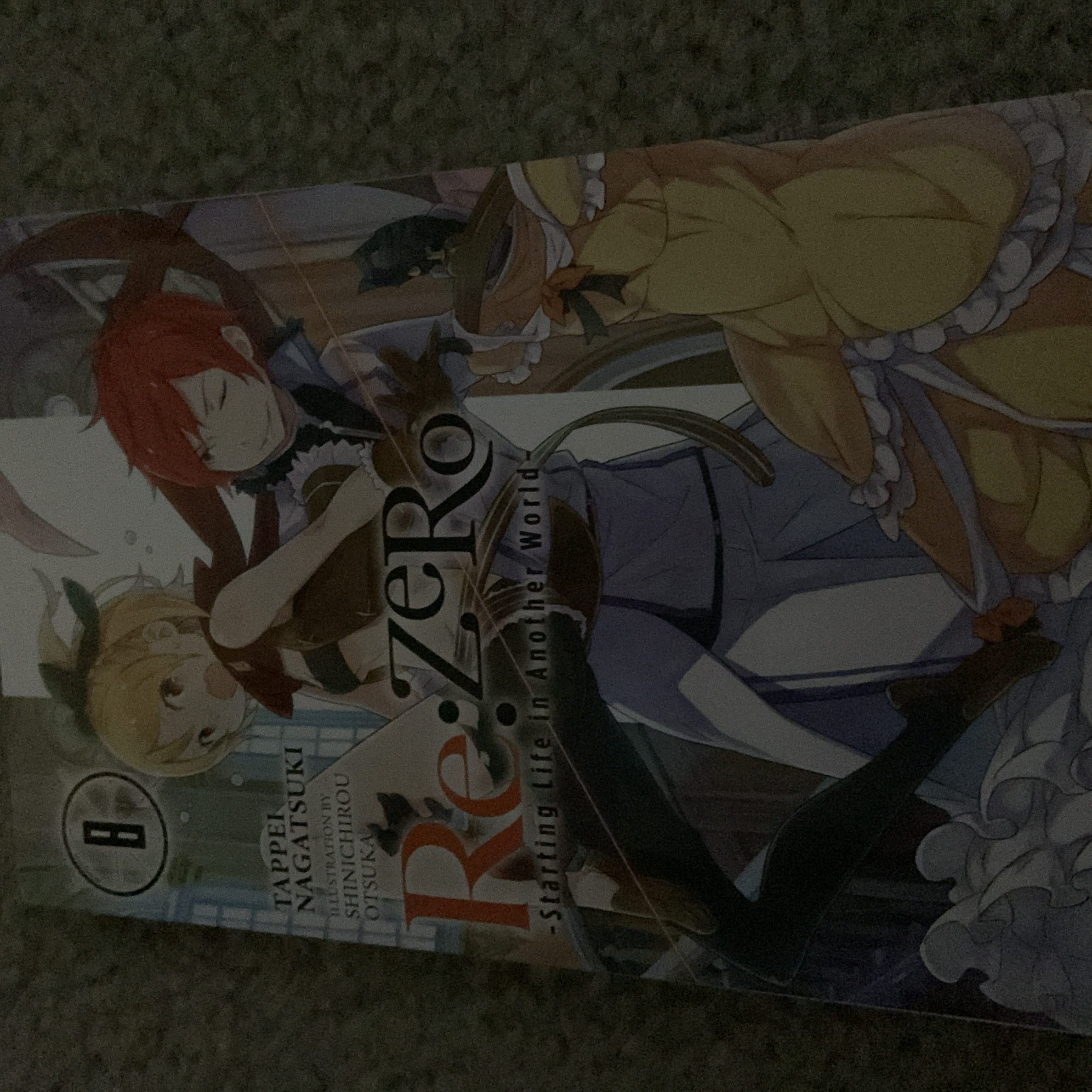 Re:ZERO -Starting Life in Another World-, Vol. 8 (light Novel)