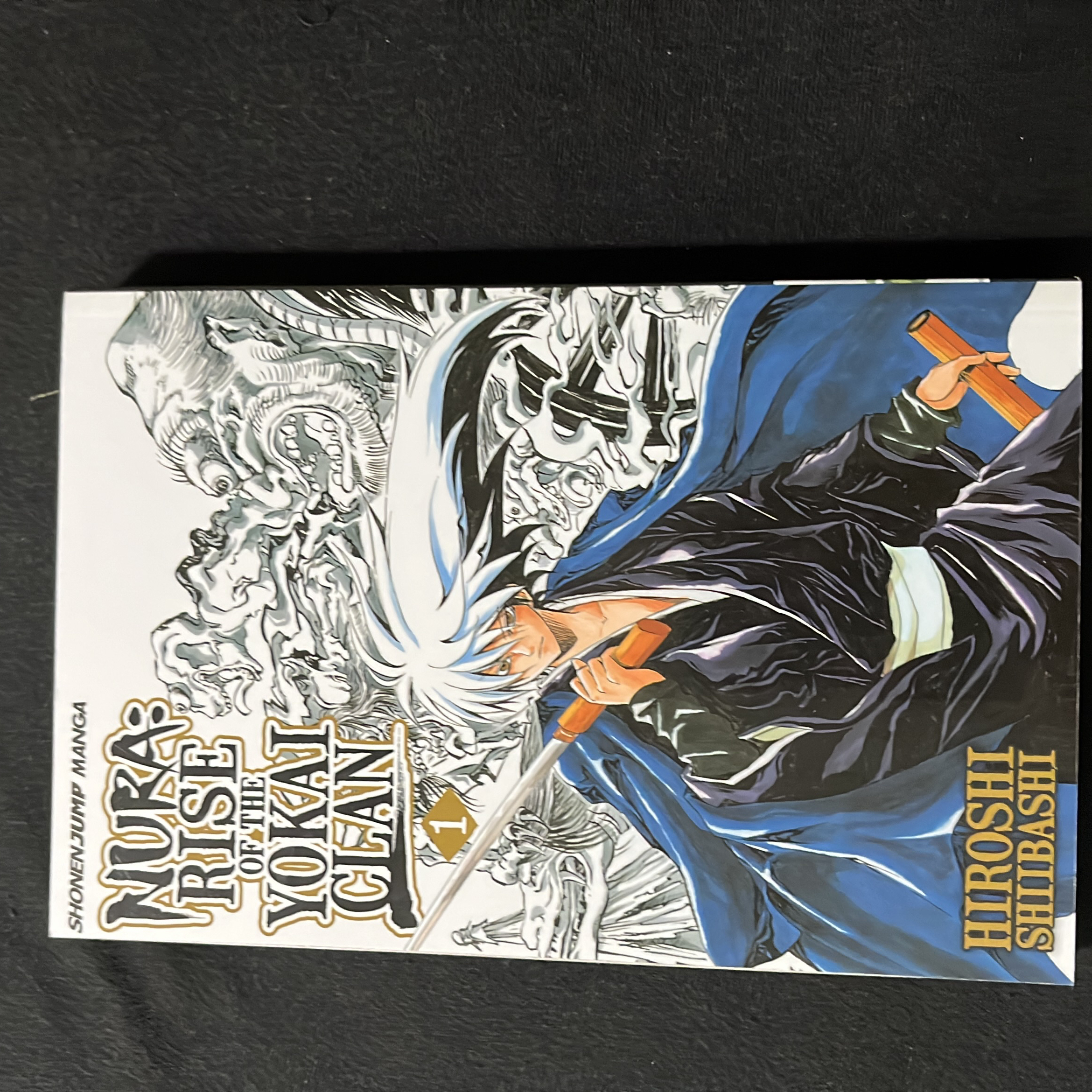 Nura: Rise of the Yokai Clan, Vol. 1