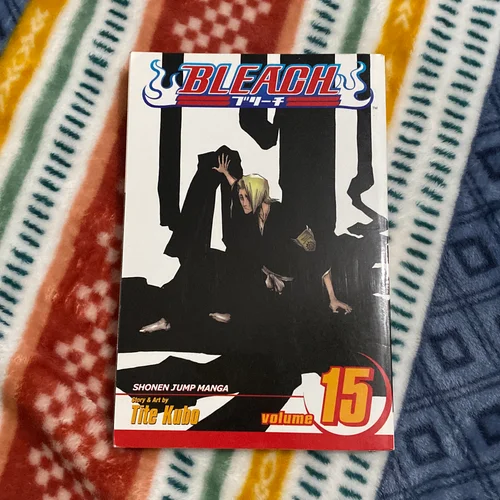 Bleach, Vol. 15