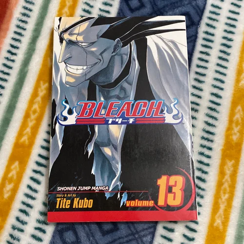 Bleach, Vol. 13
