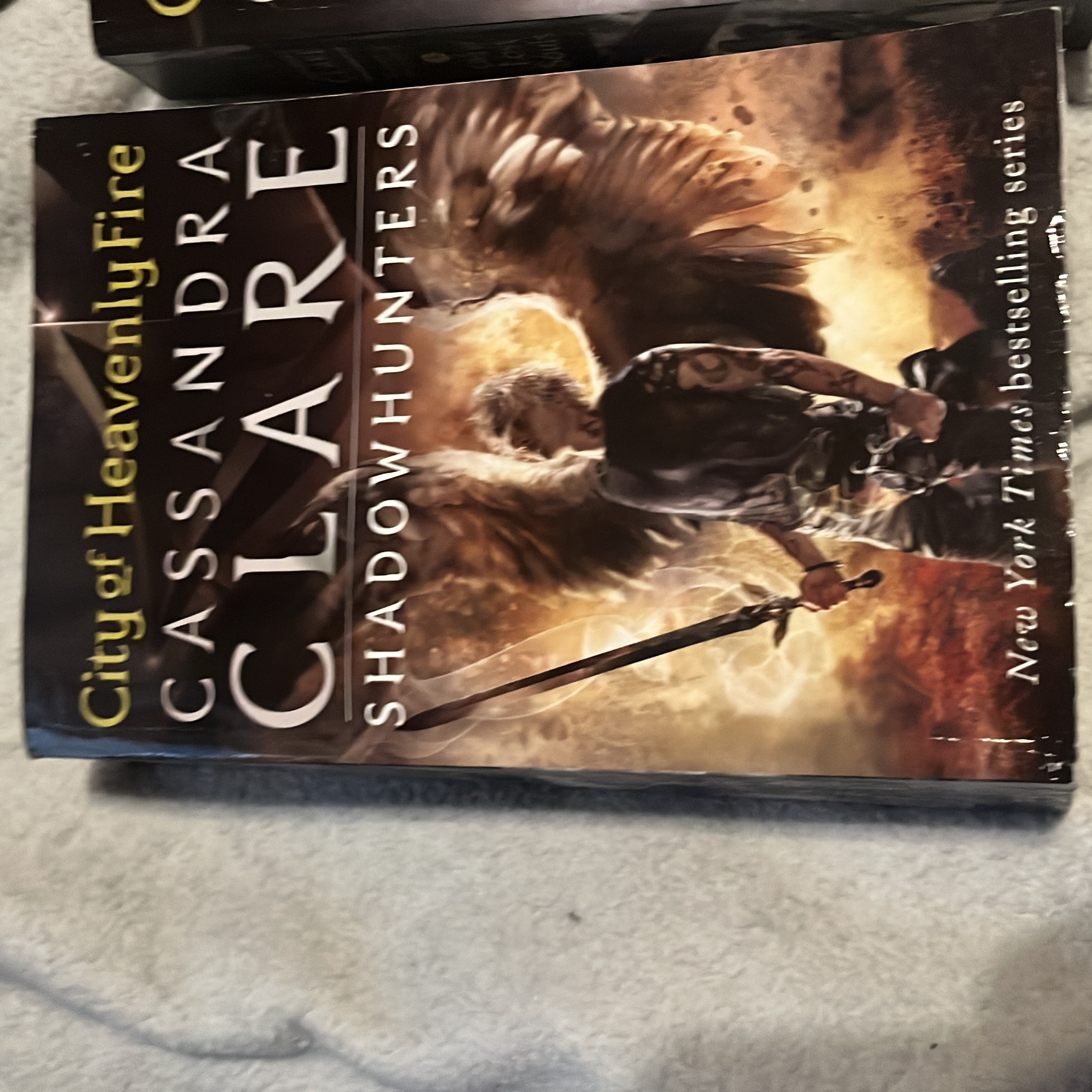 City of Heavenly Fire