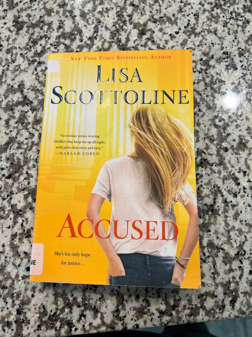 Accused: a Rosato and Dinunzio Novel