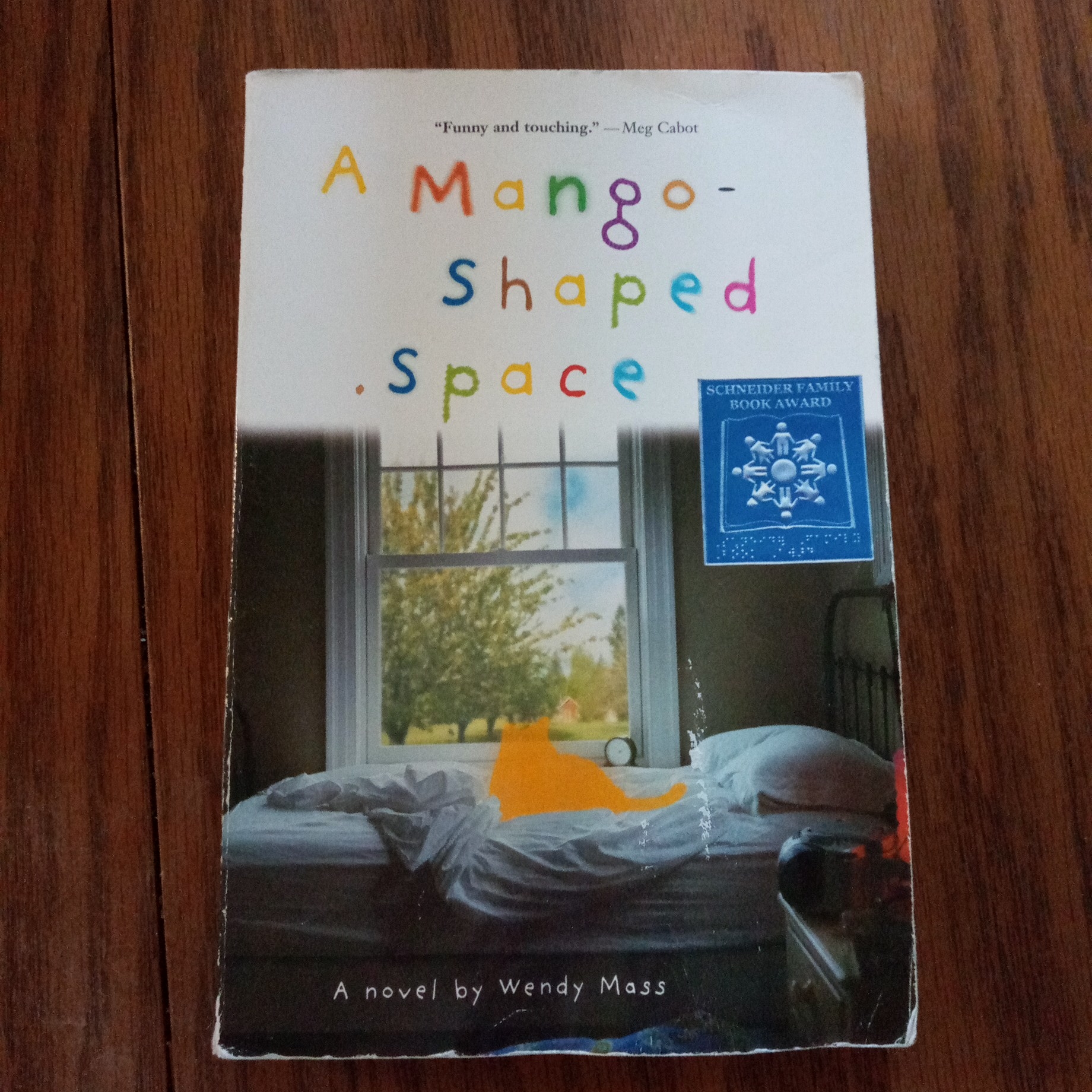 A Mango-Shaped Space