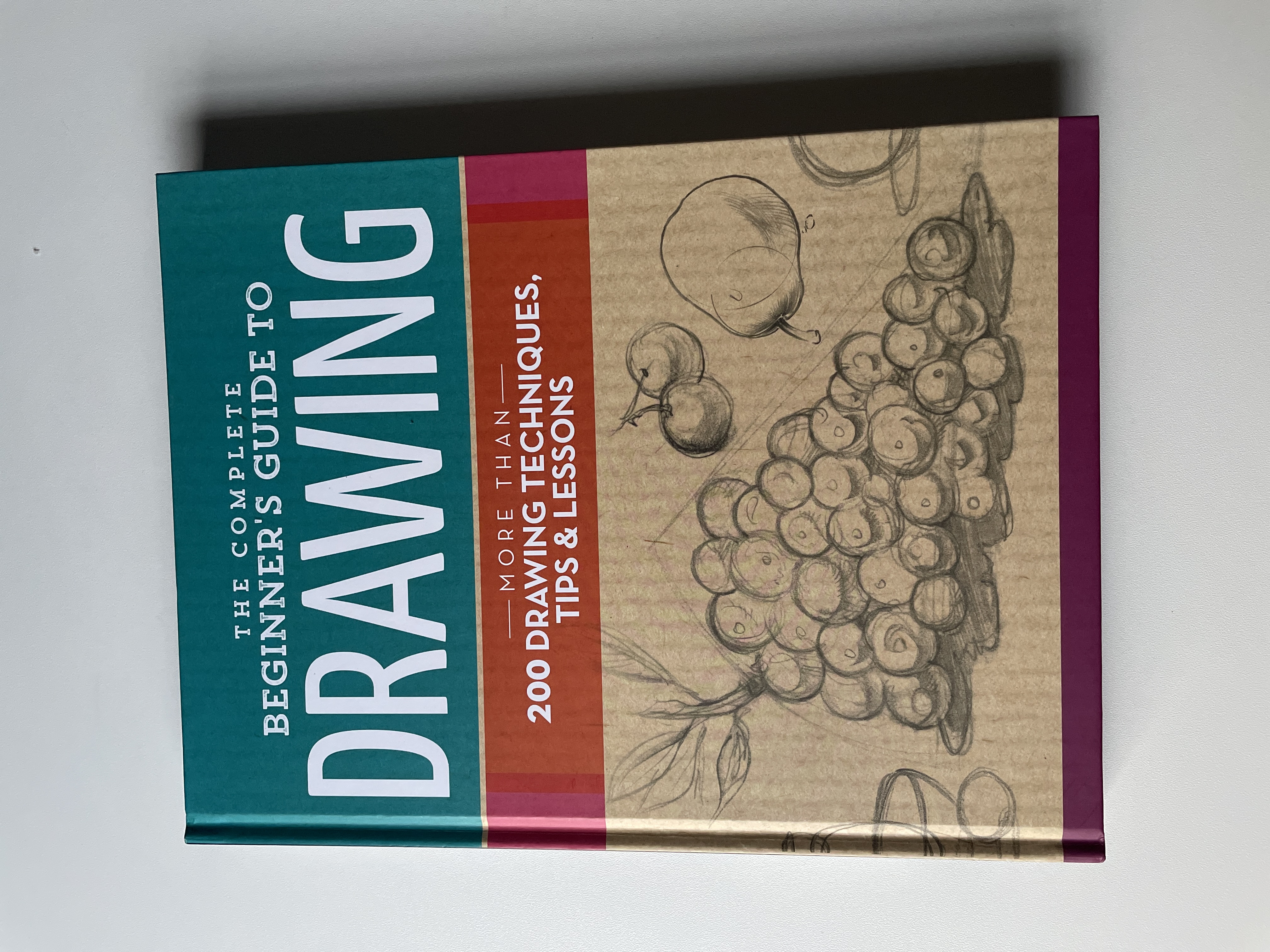 The Complete Beginner's Guide to Drawing