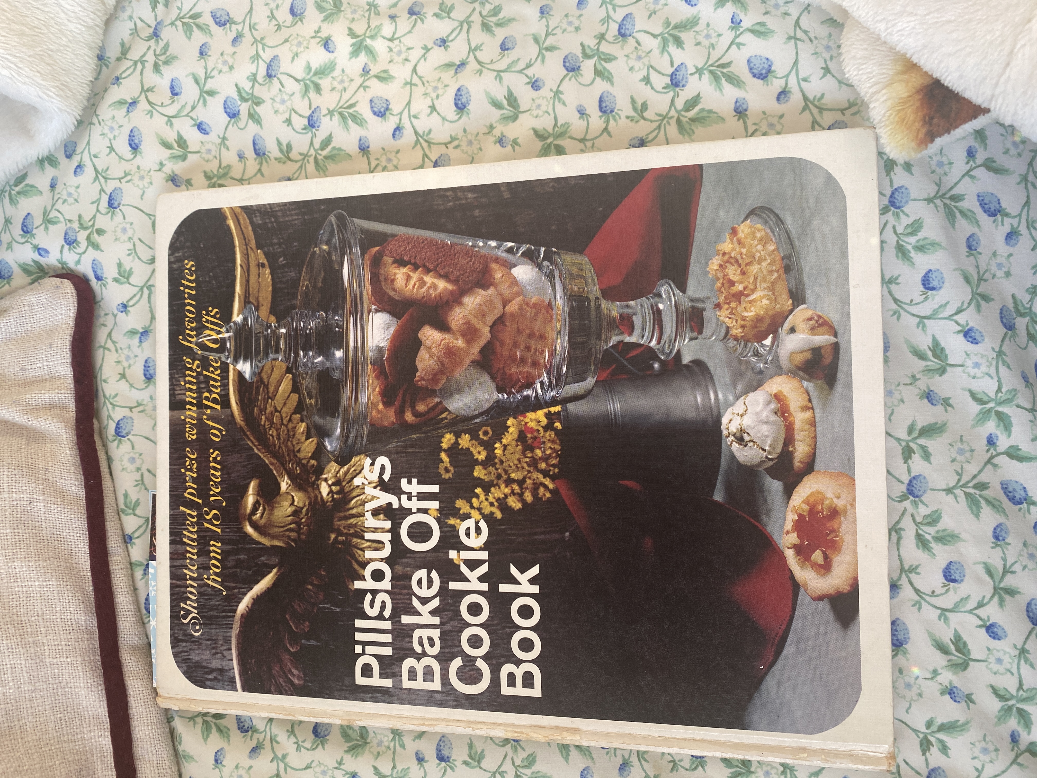  Cookie Book