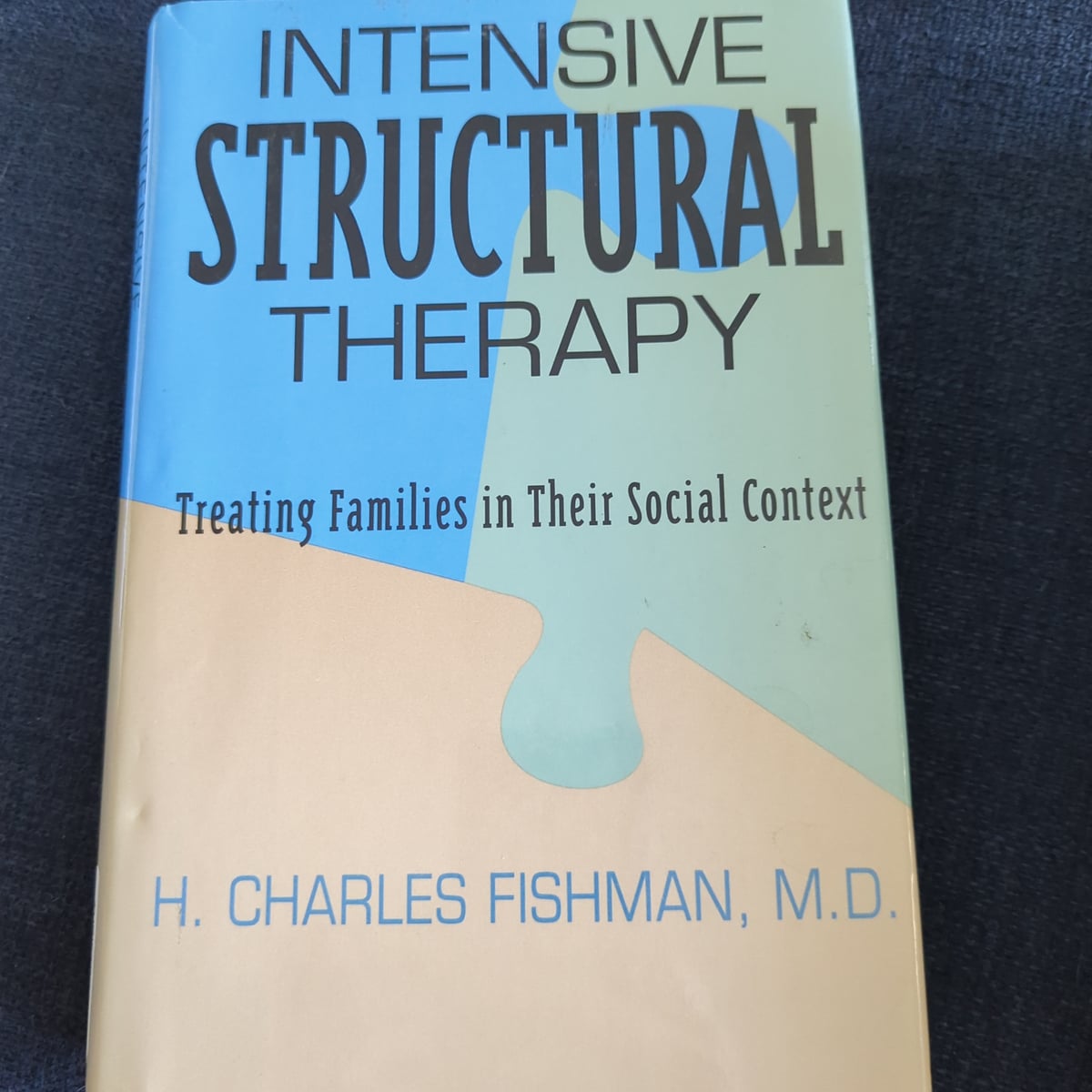 Intensive Structural Therapy by H. Charles Fishman
