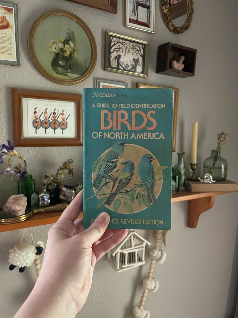 Golden Guide to Field Identification of Birds of North America