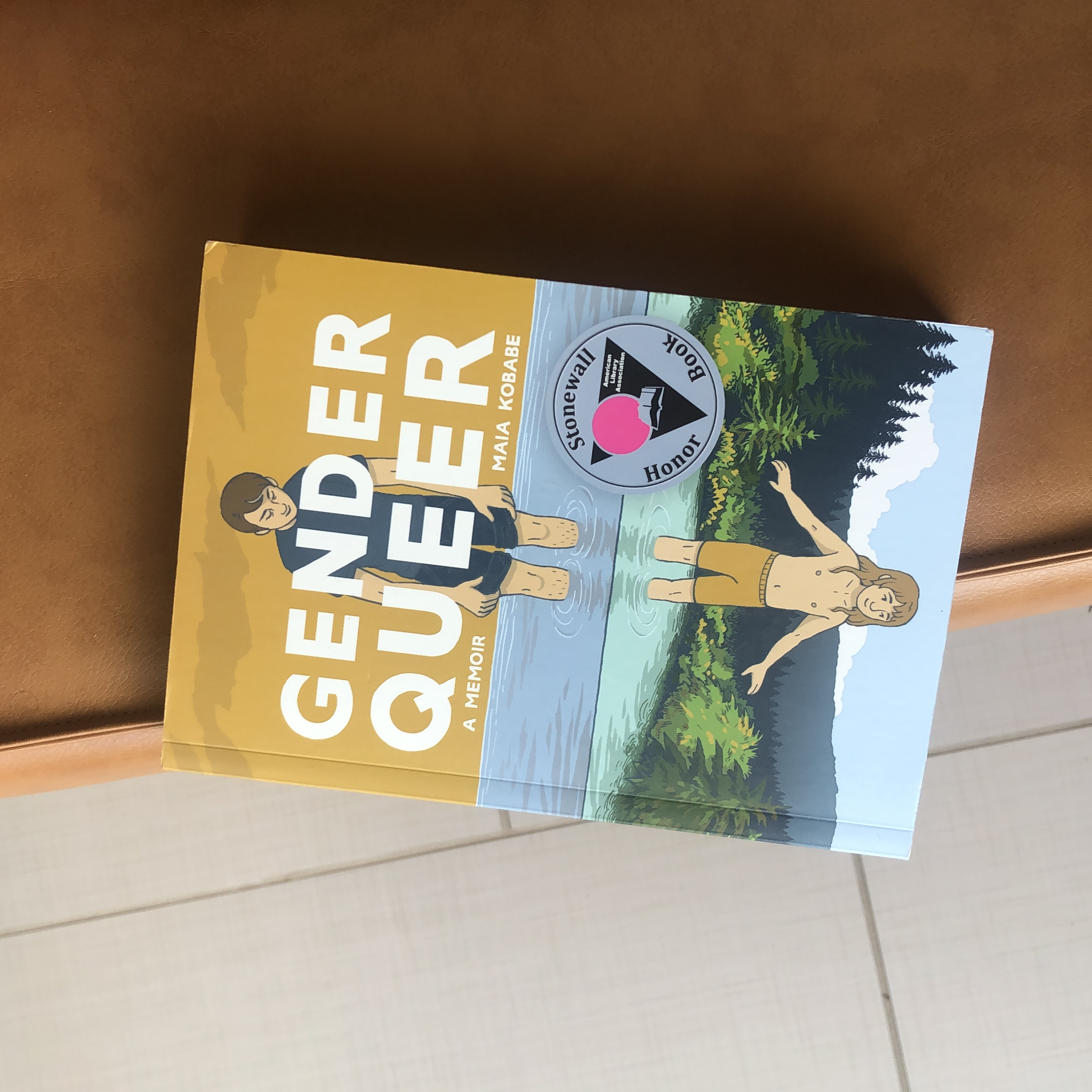 Gender Queer: a Memoir