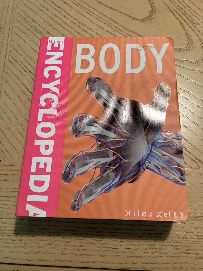 Body