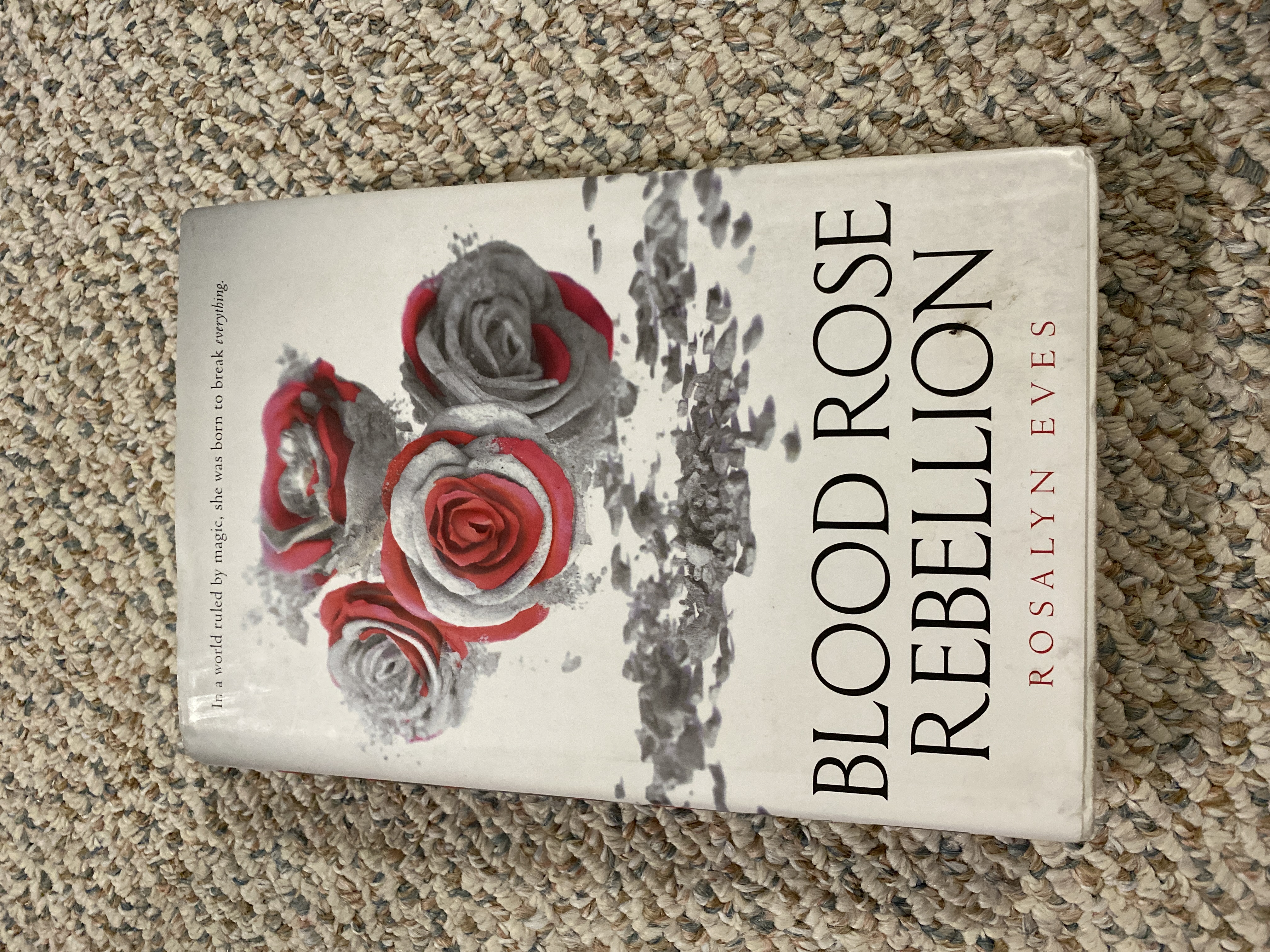 Sale image for 97e05538-c493-4040-889e-fbcd9df2441b-BIws5CbbDKarq5U4PWxnSGvYj5z1