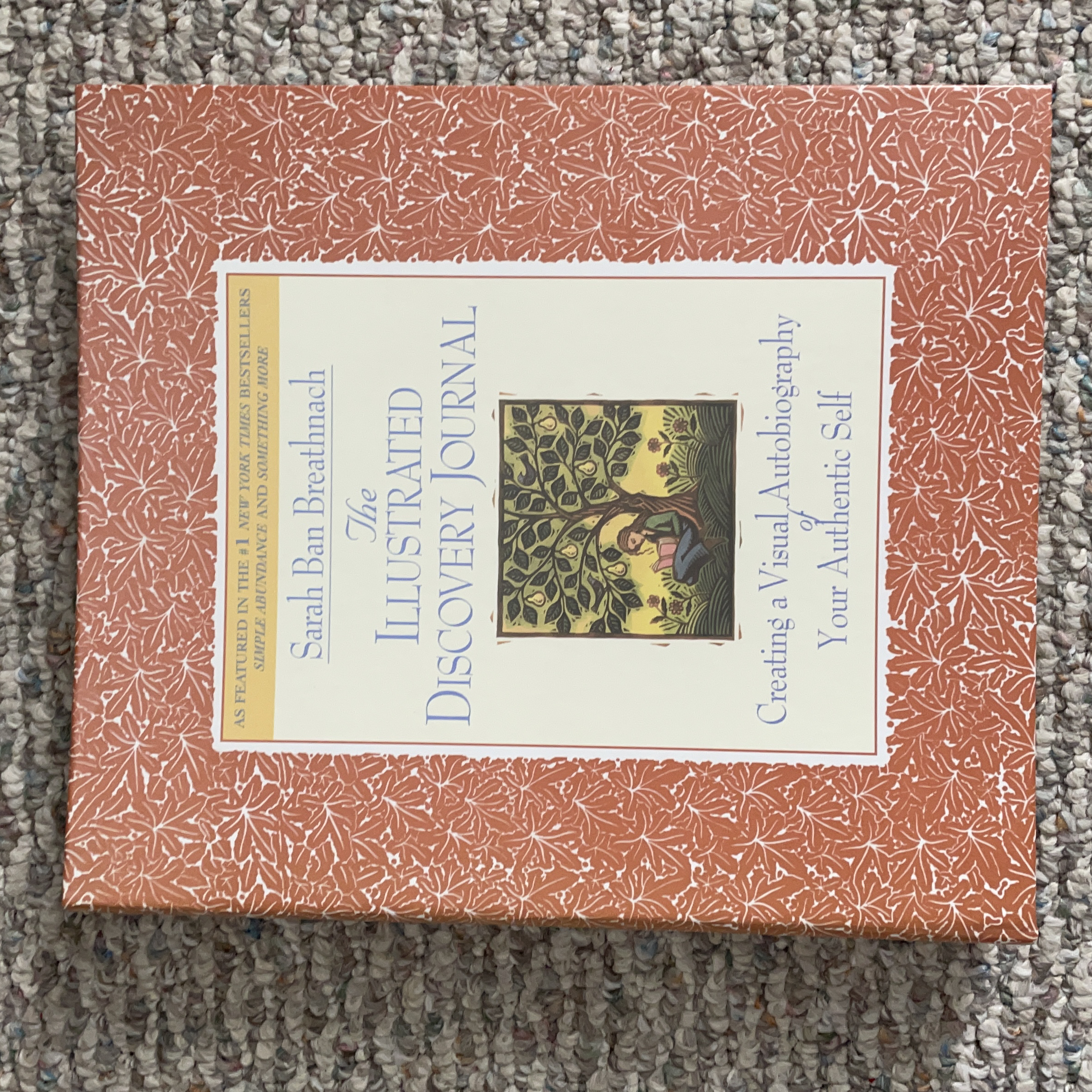 The Illustrated Discovery Journal