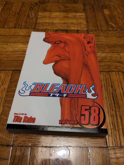 Bleach, Vol. 58