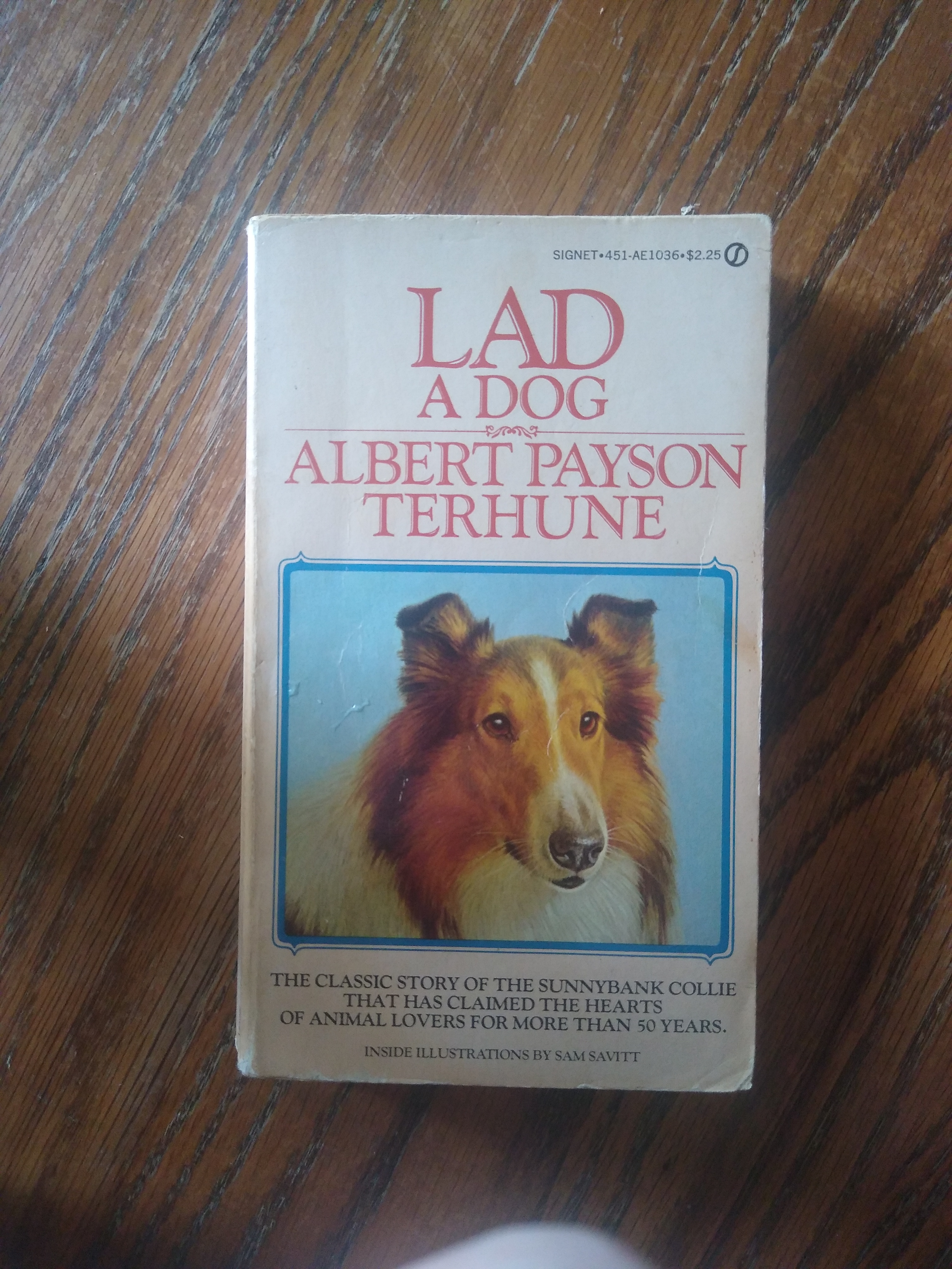 ⭐ Lad A Dog (rare)