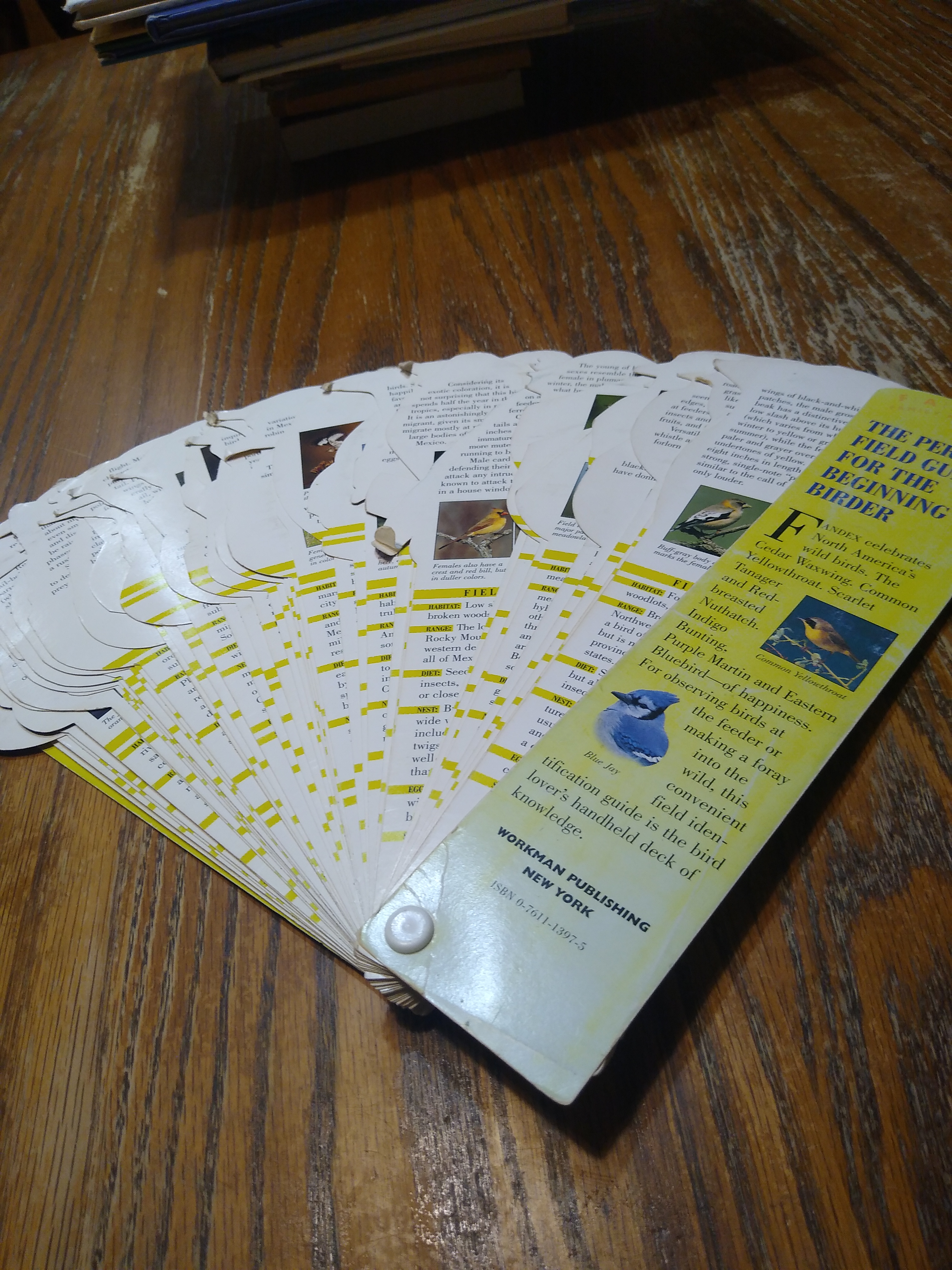 ⭐Fandex Family Field Guides: Birds by Michael | PangoBooks