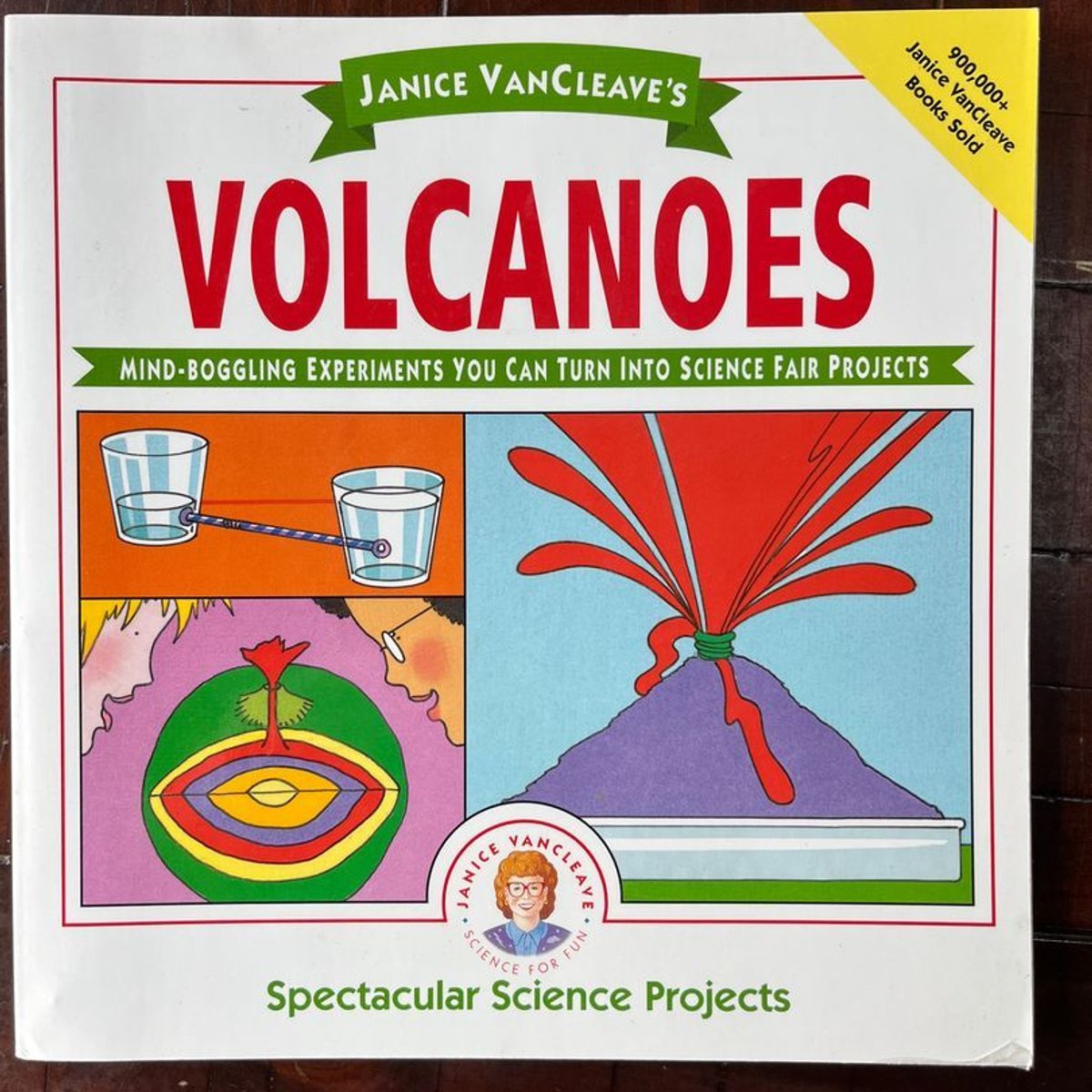 Janice VanCleave's Volcanoes by Janice VanCleave