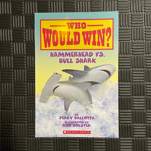 Hammerhead vs. Bull Shark