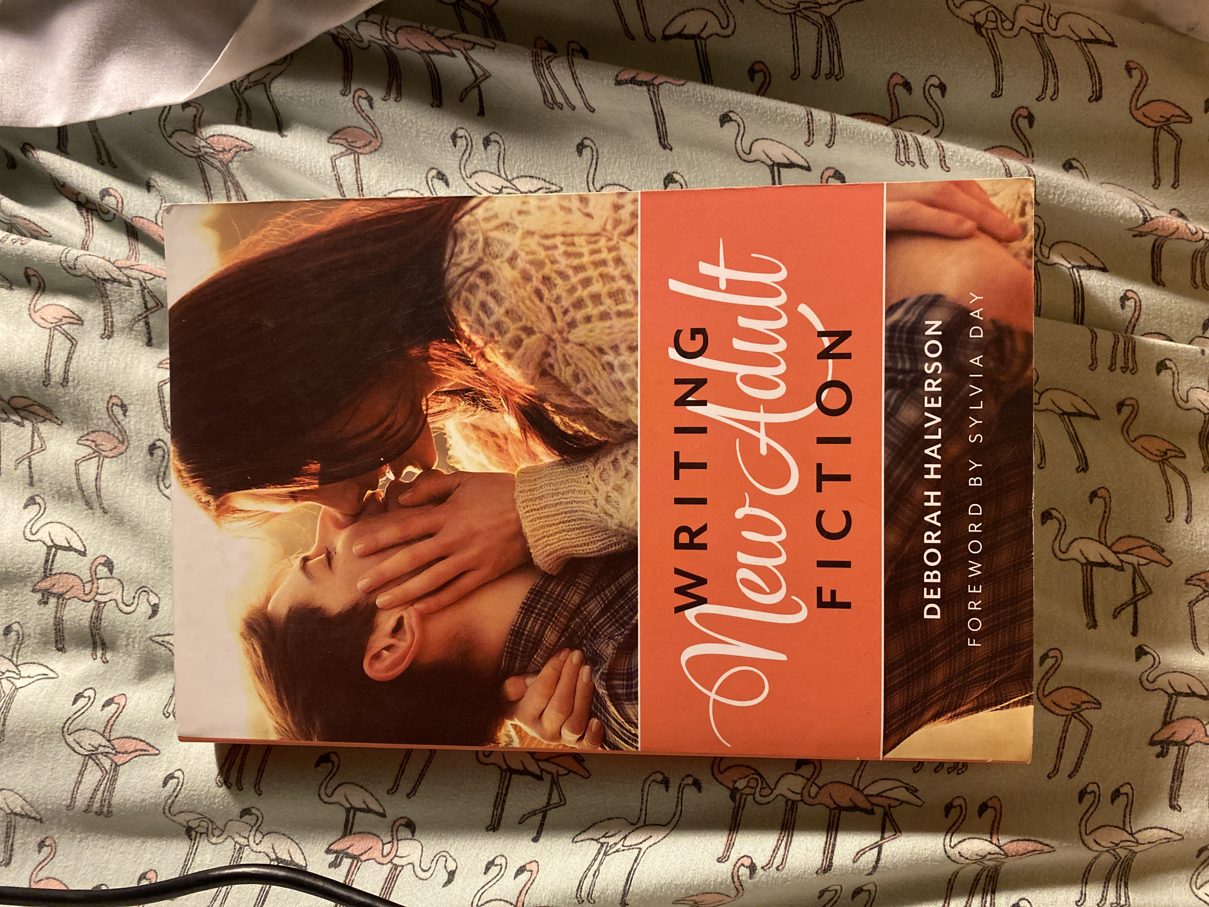 Writing New Adult Fiction