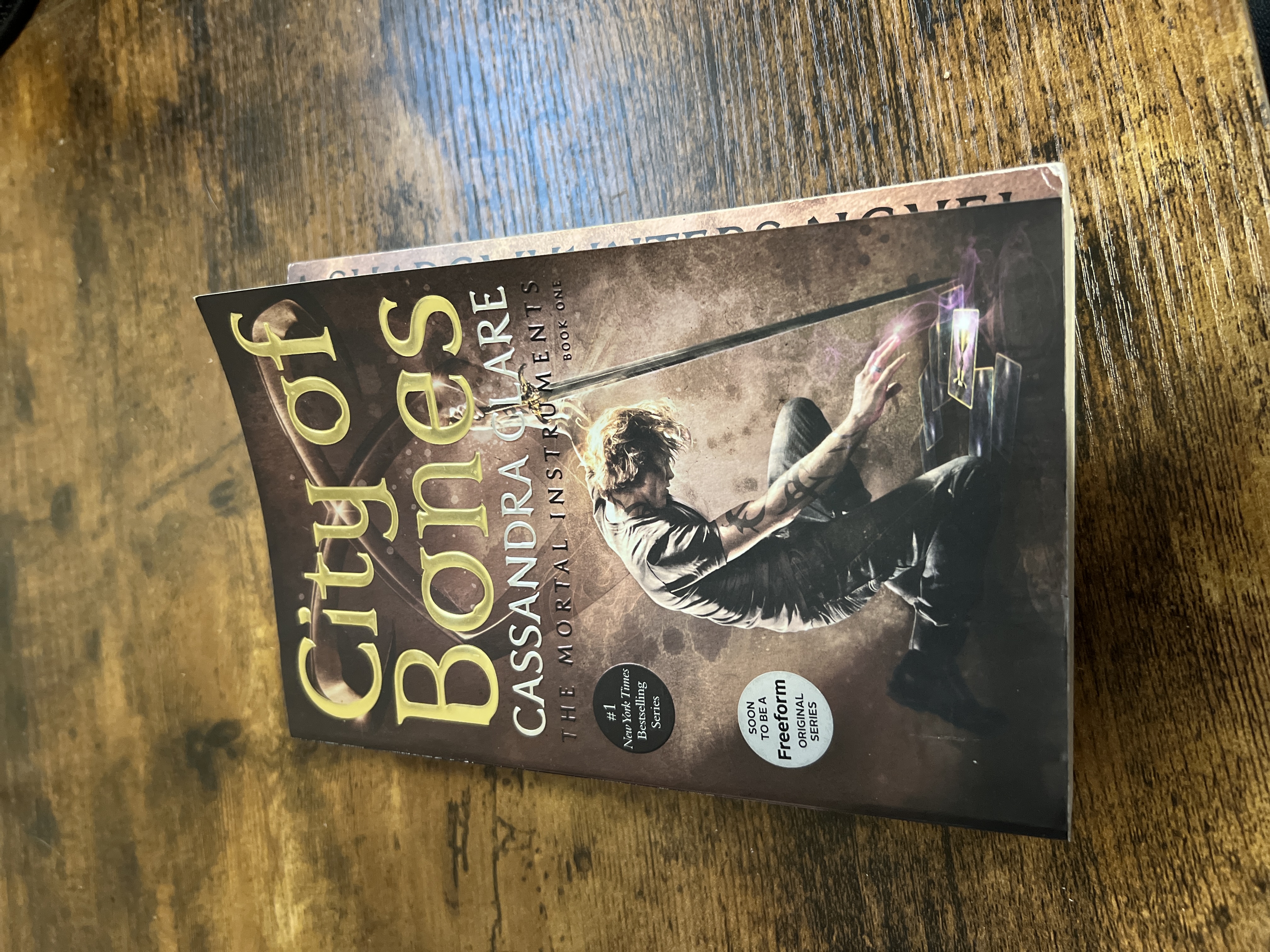 City of Bones