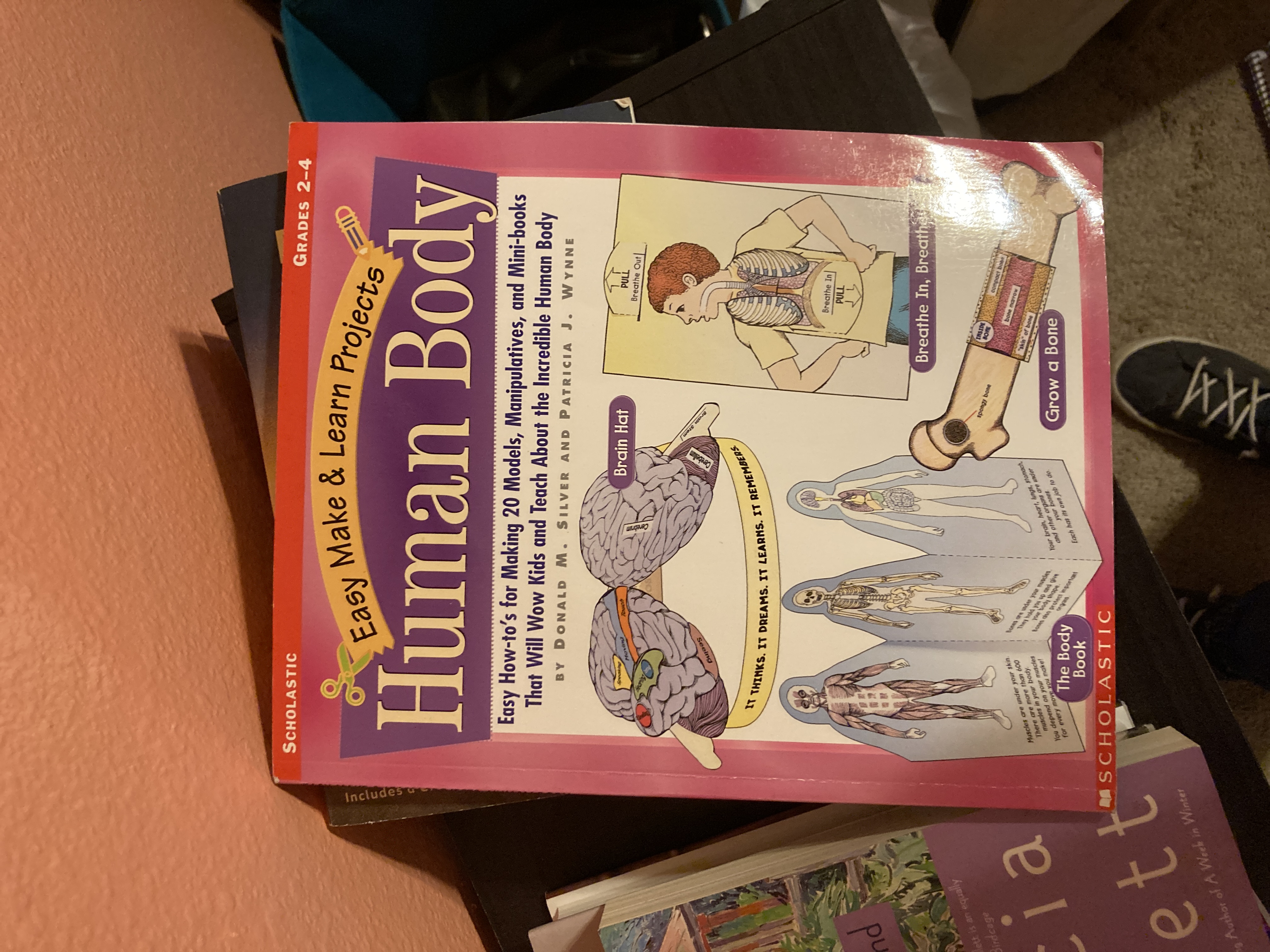 Easy Make and Learn Projects - The Human Body by Donald M. Silver ...