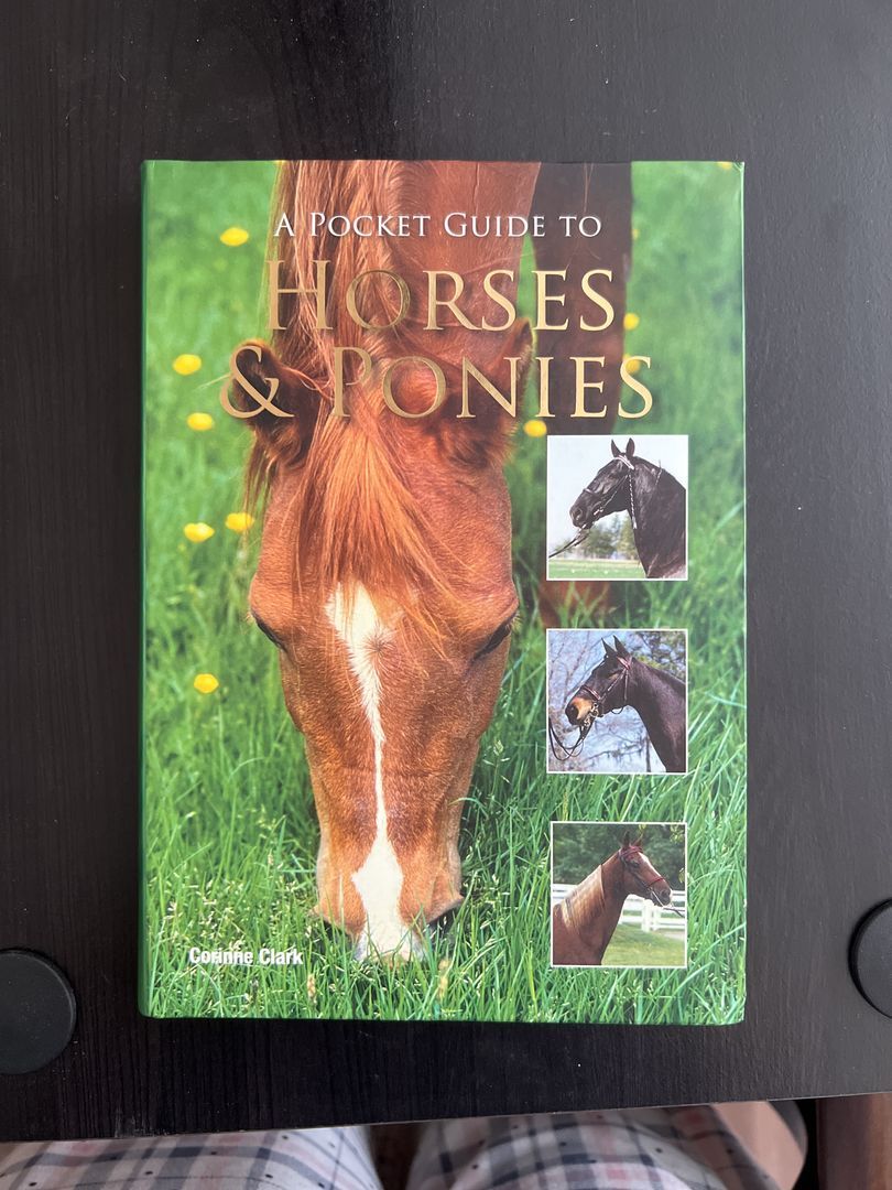 A Pocket Guide to Horses & Ponies 