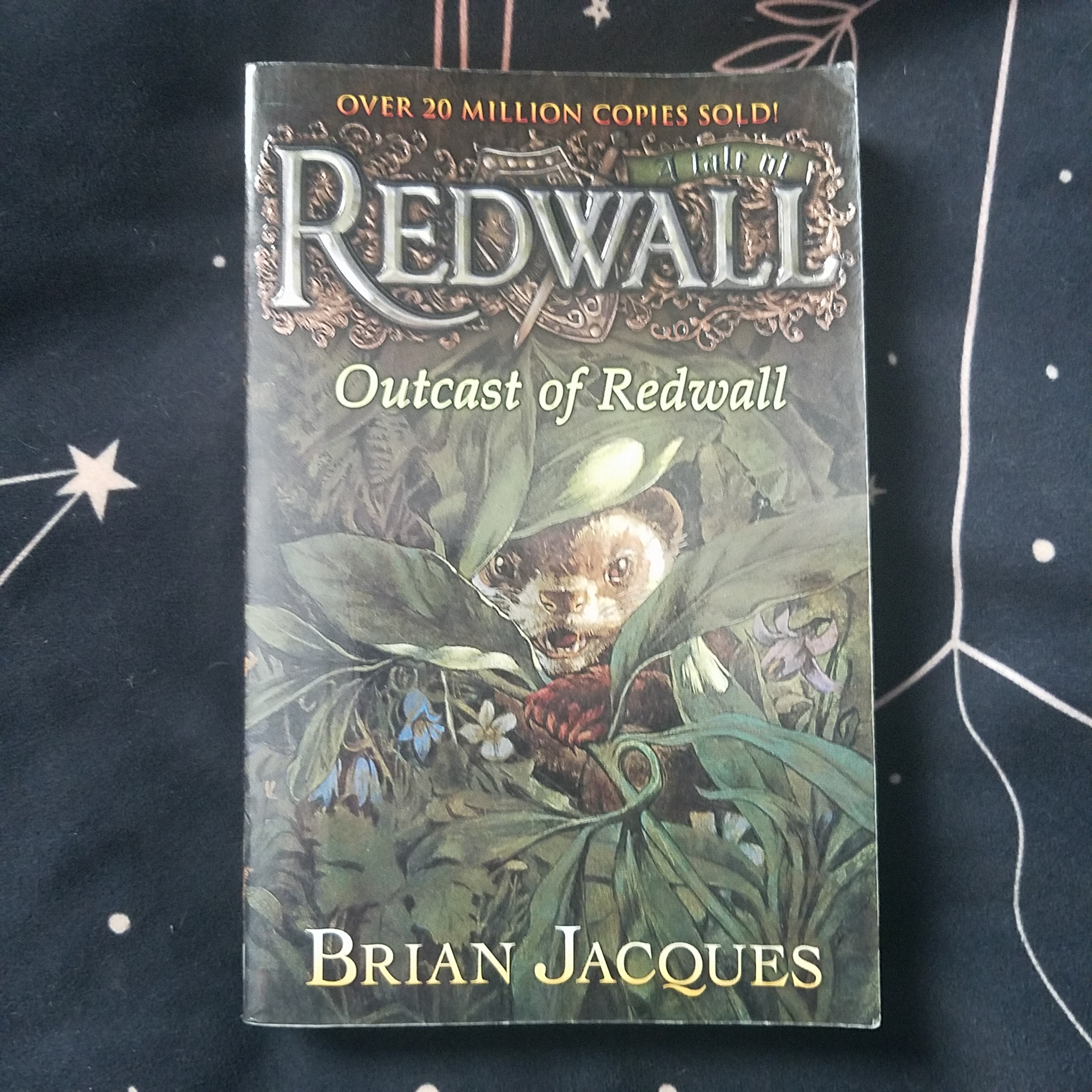 Outcast of Redwall