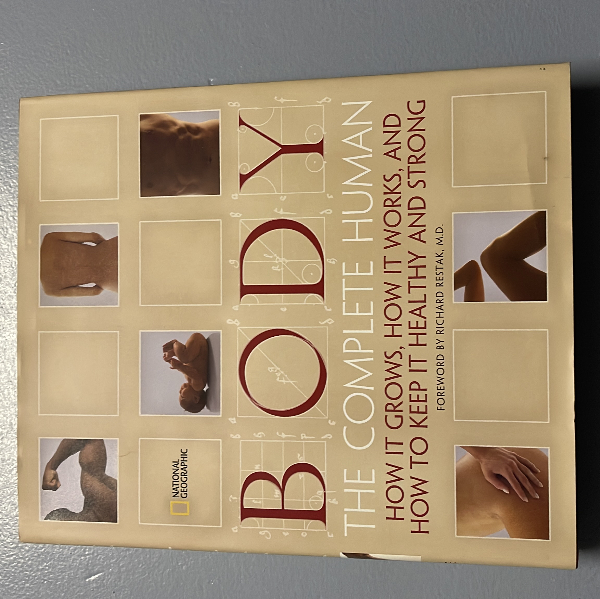 Body