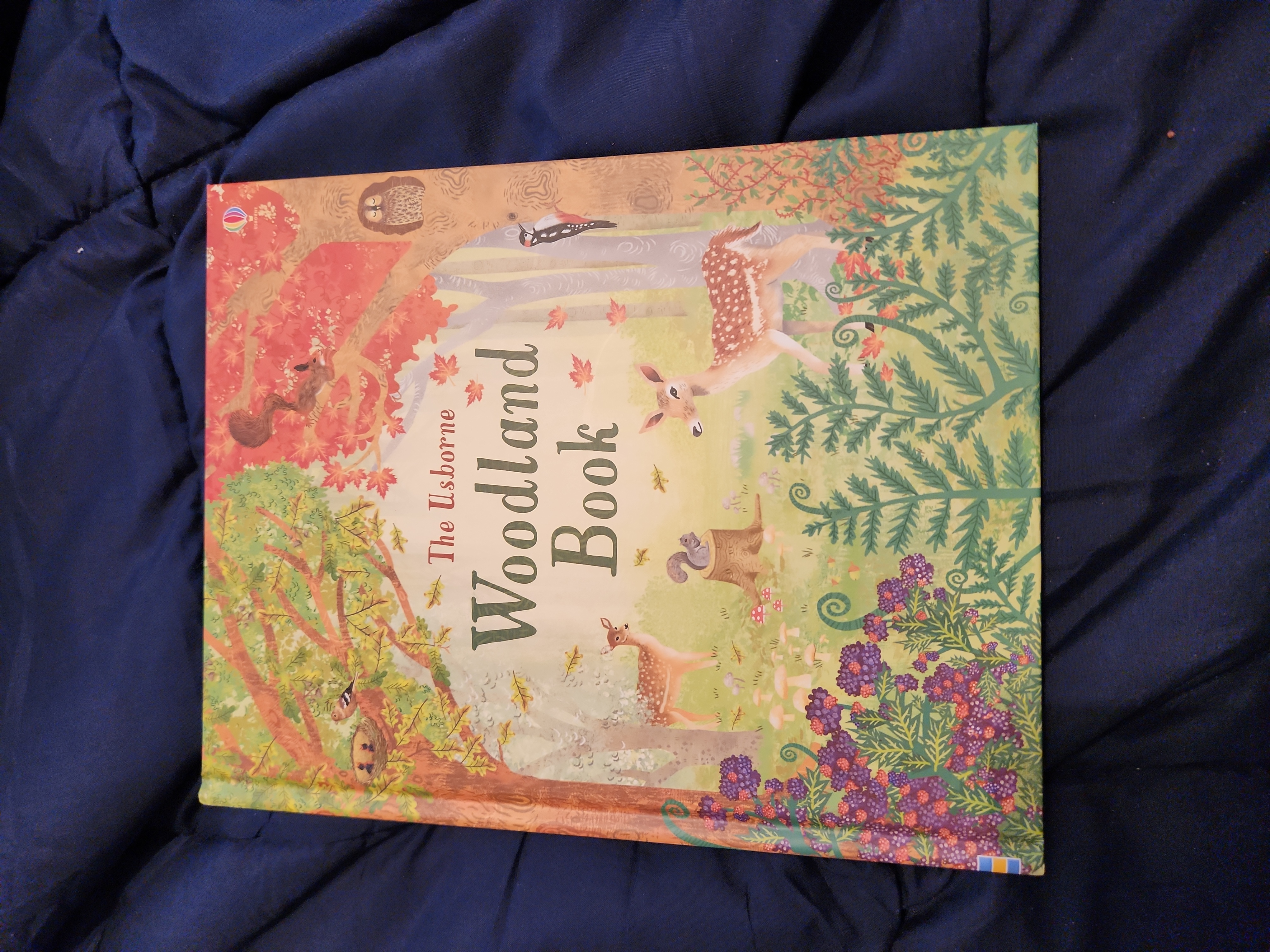 The Usborne Woodland Book IR