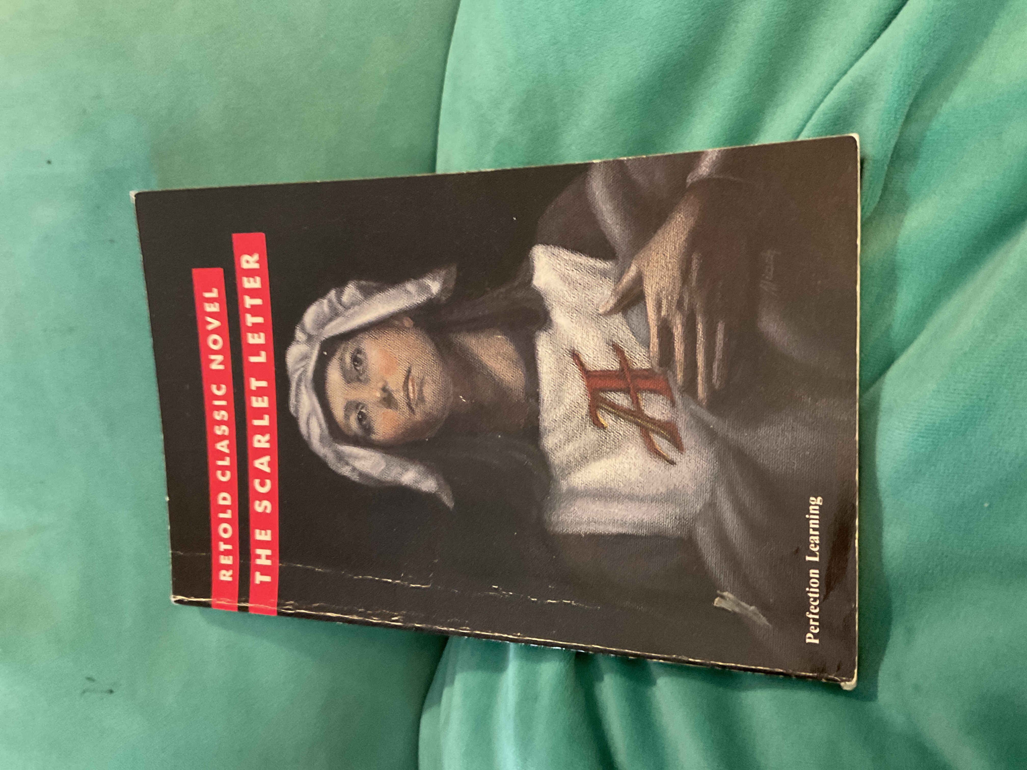 The Scarlet Letter [Retold Classic Novel]