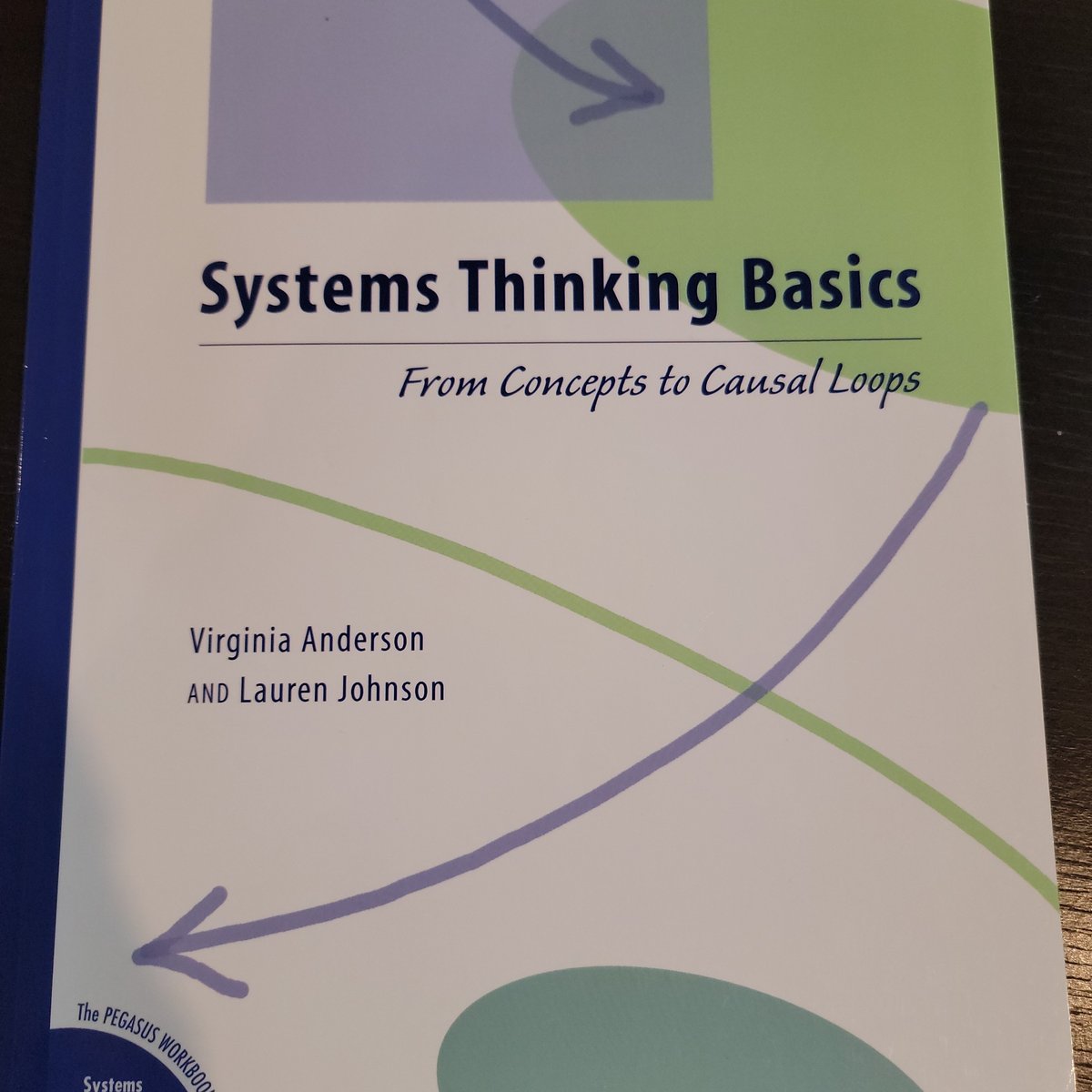 Systems Thinking Basics by