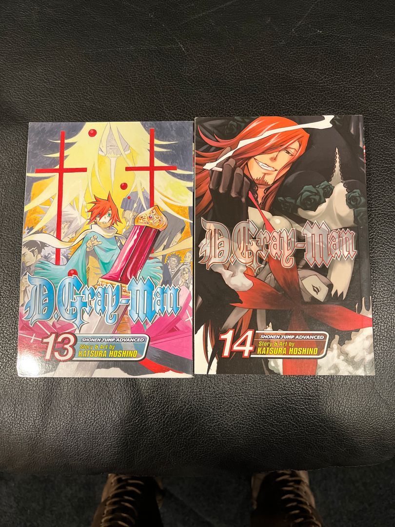 D. Gray-Man, Vol. 13