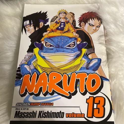Naruto, Vol. 13