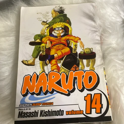 Naruto, Vol. 14