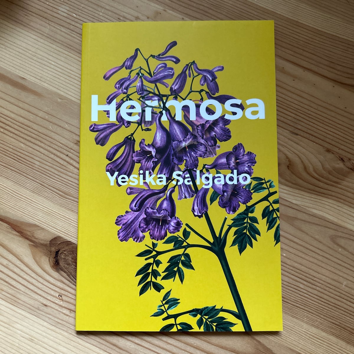 Hermosa by Yesika Salgado