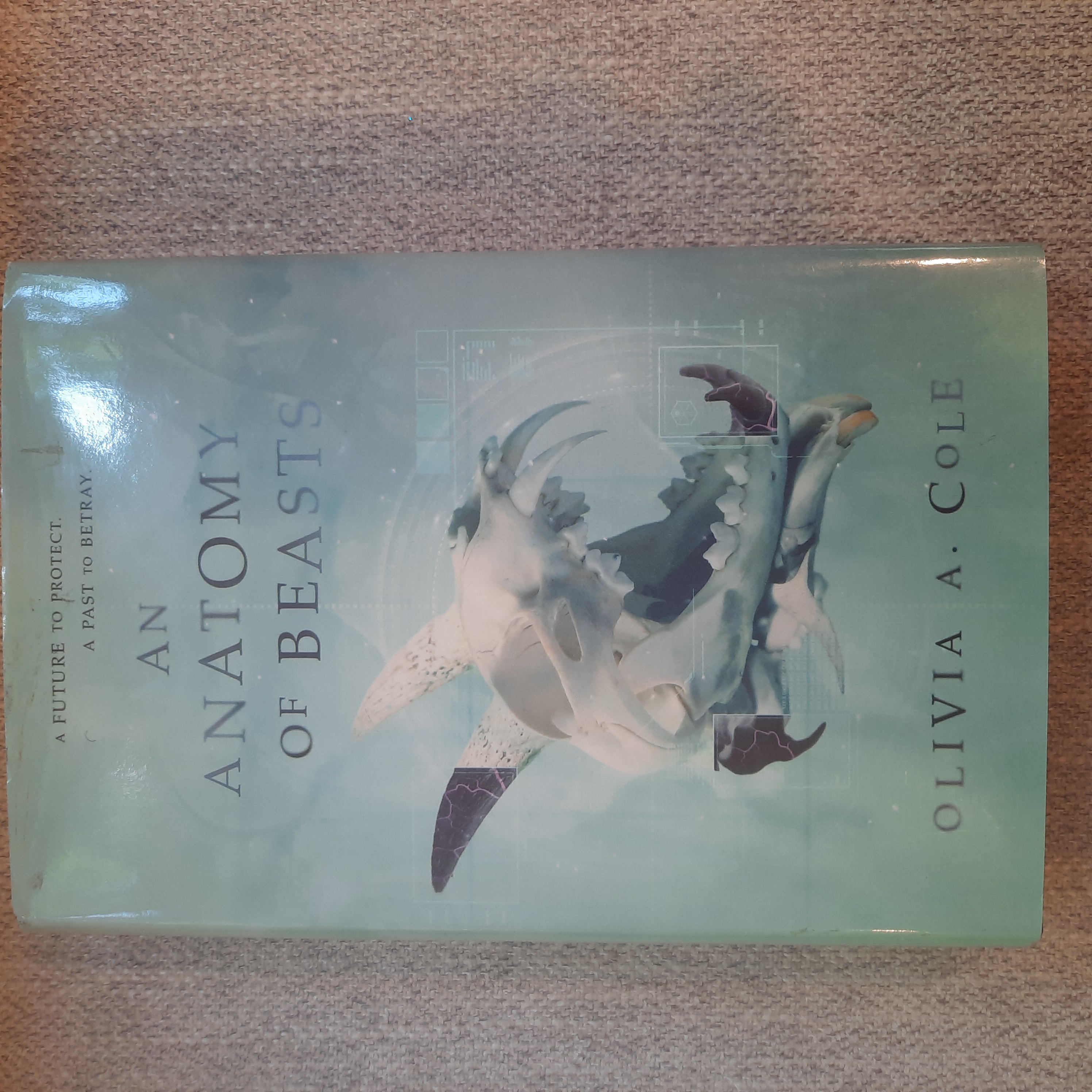 An Anatomy of Beasts