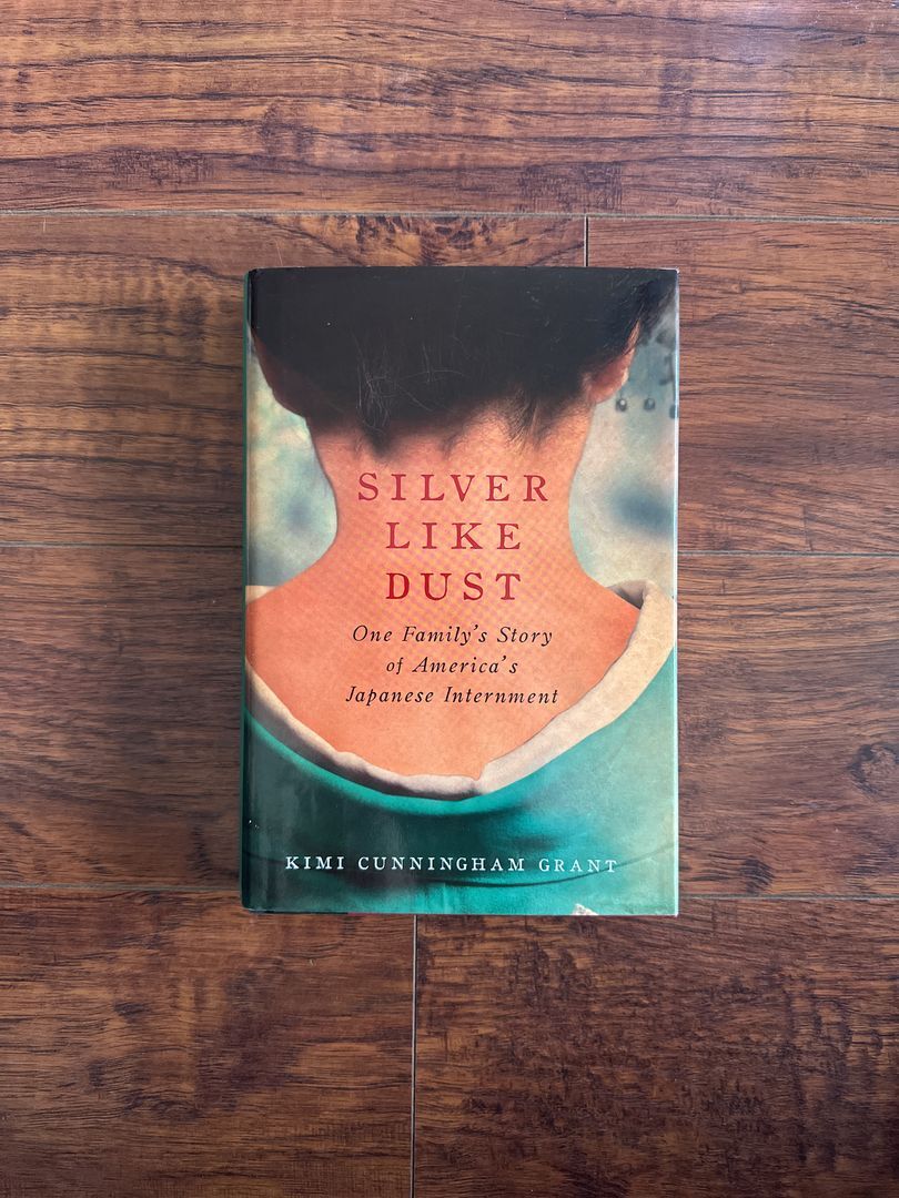 Silver Like Dust
