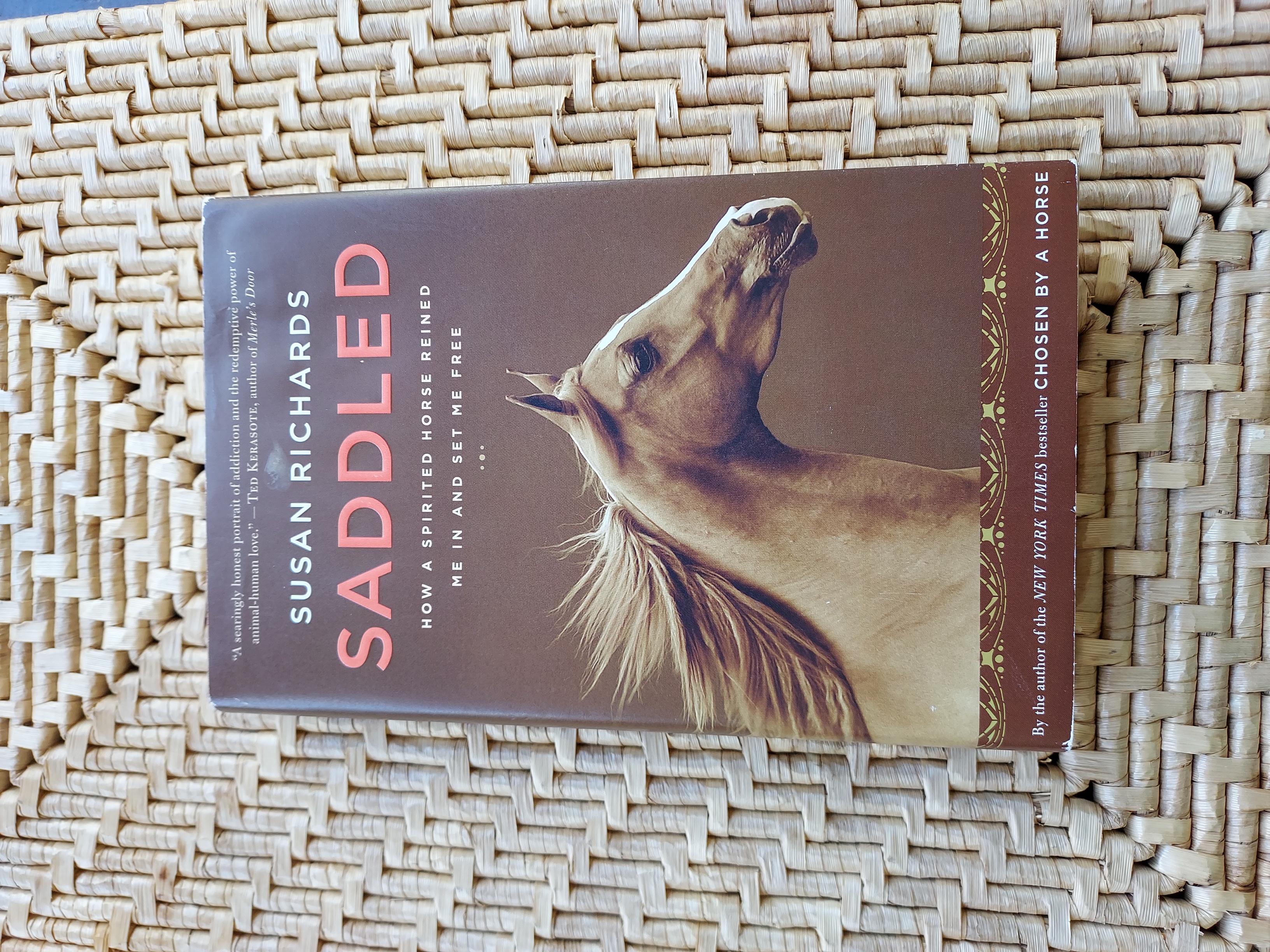 Saddled